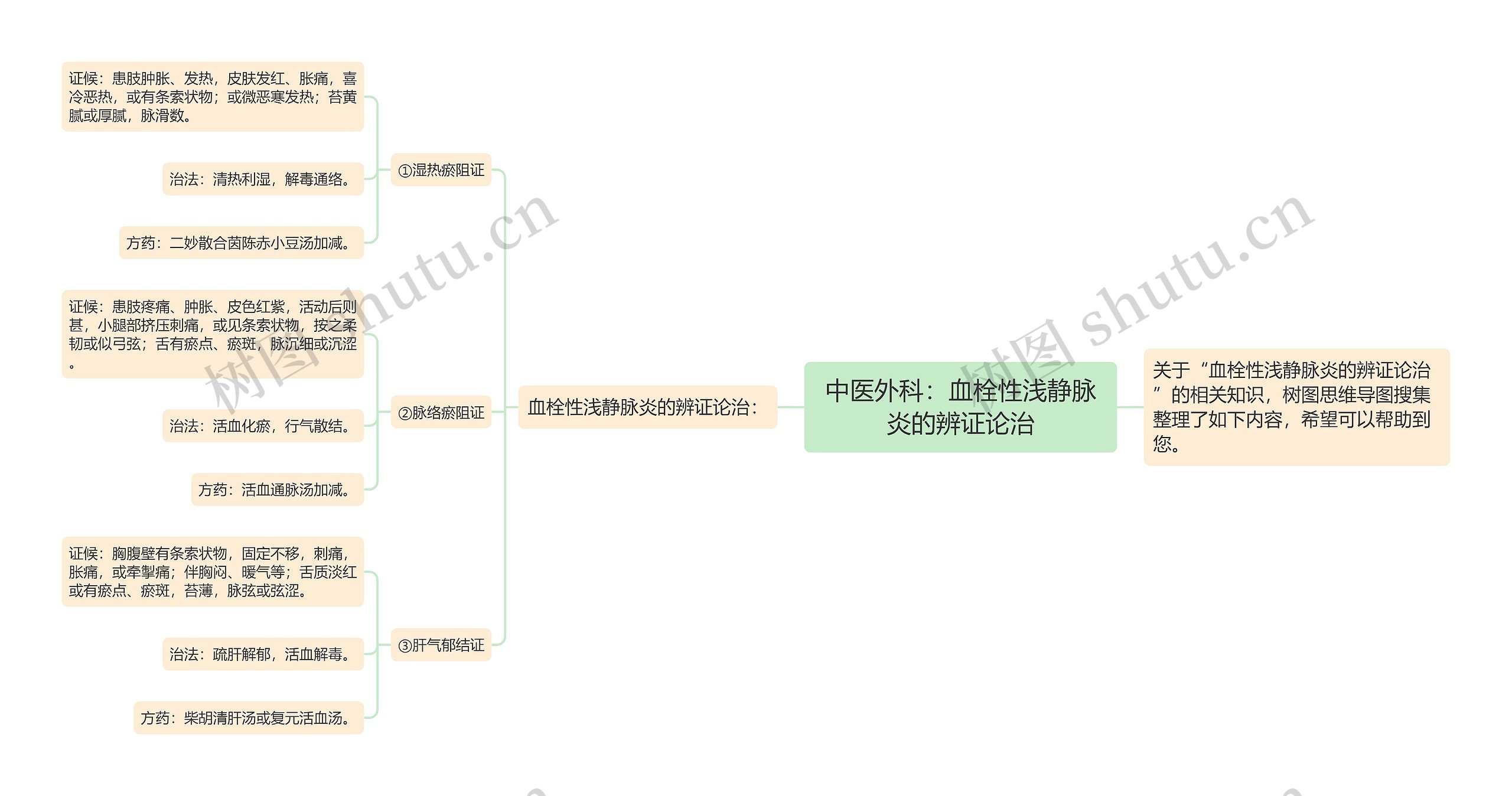 中医外科：血栓性浅静脉炎的辨证论治思维导图