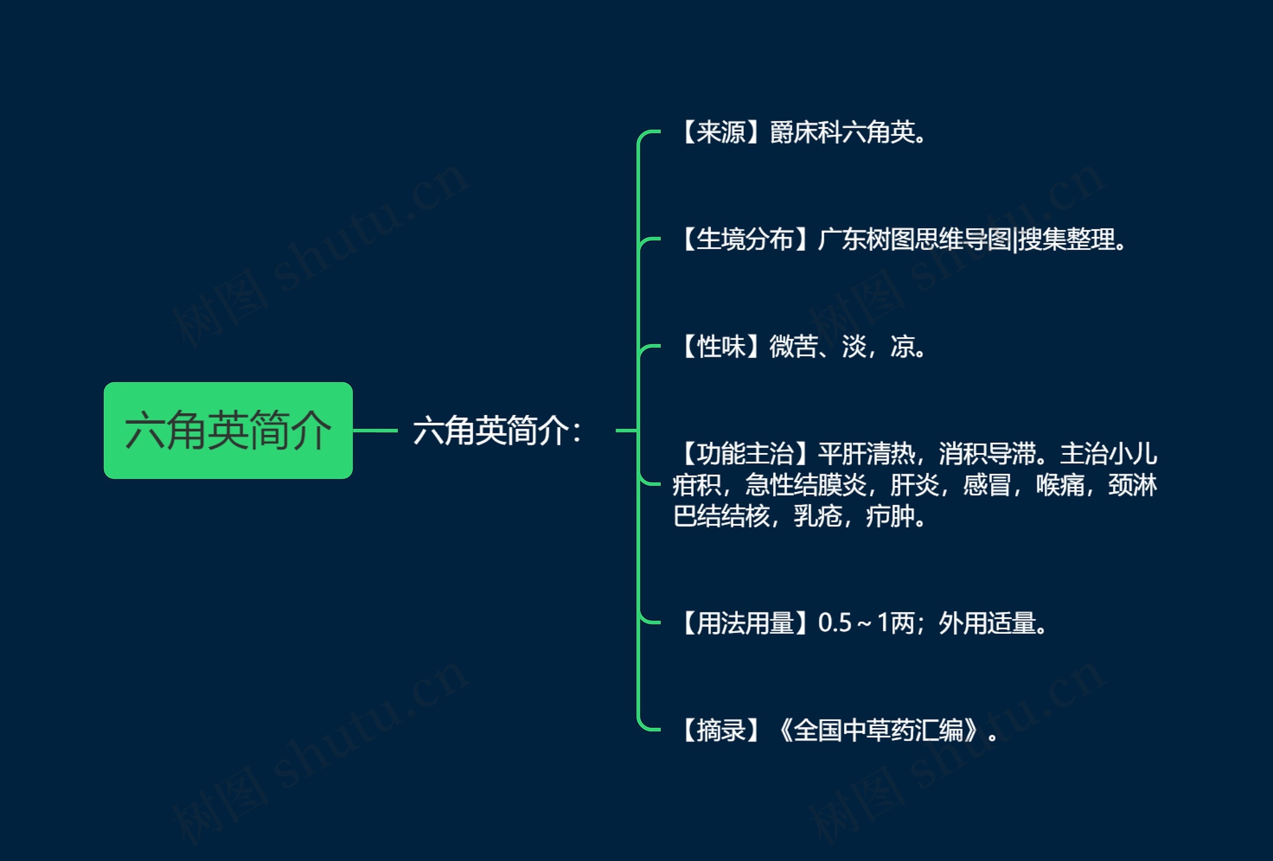 六角英简介思维导图