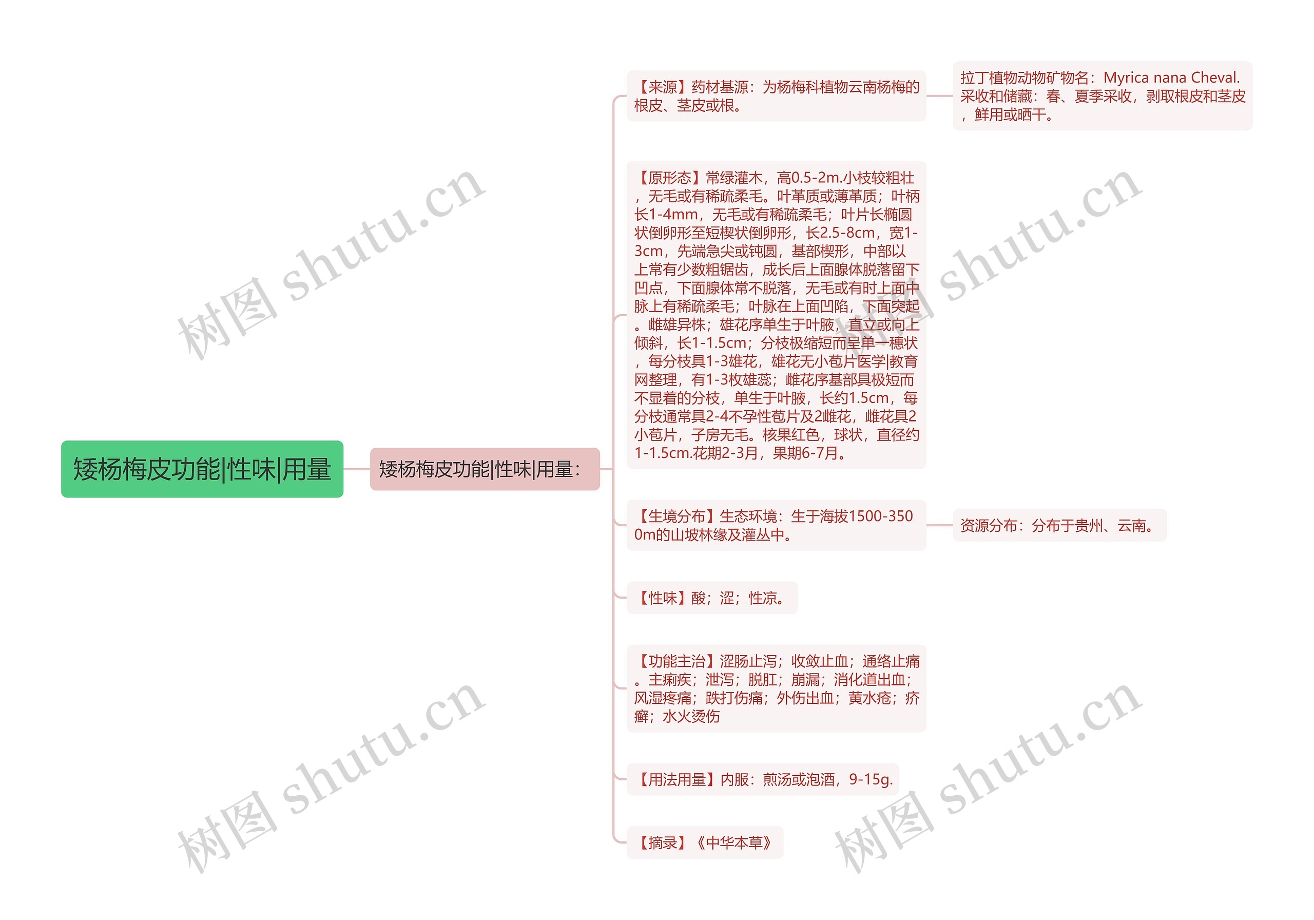矮杨梅皮功能|性味|用量思维导图