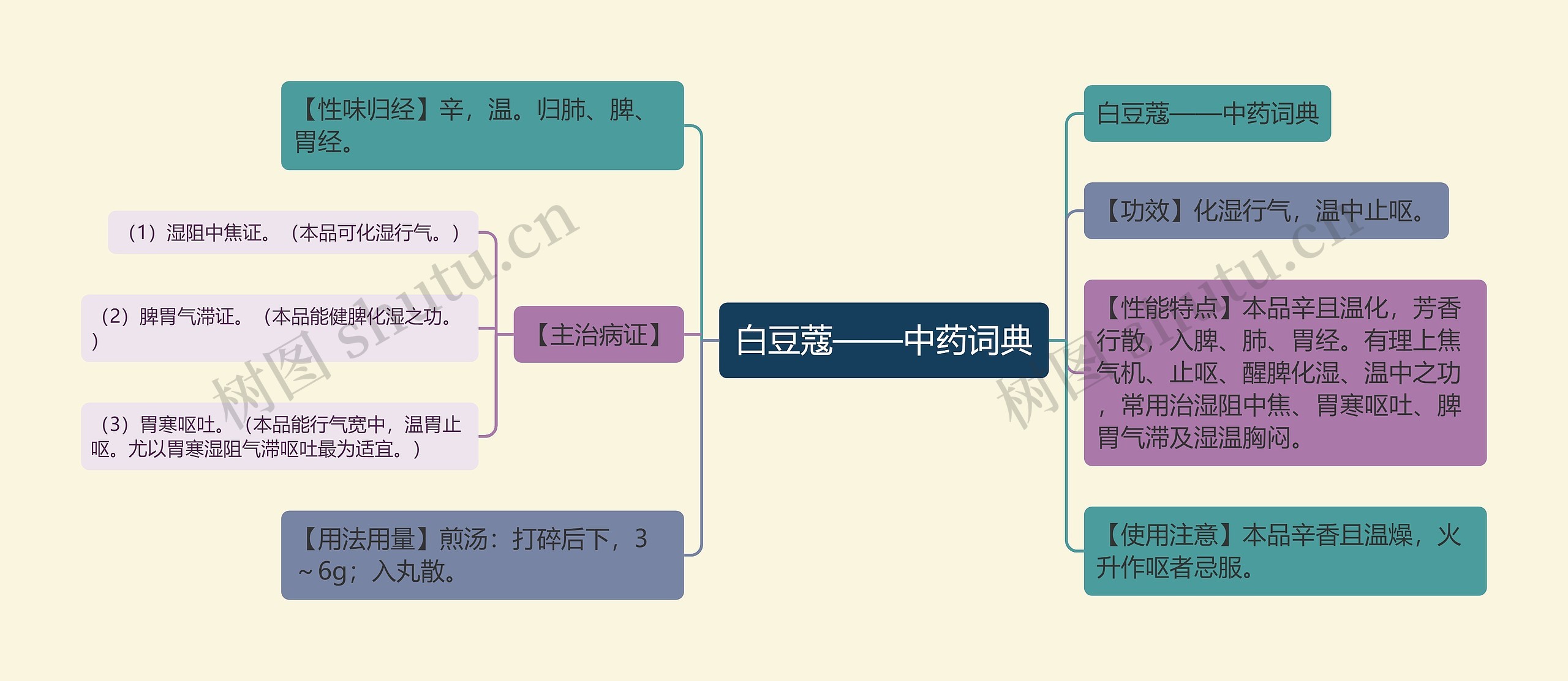 白豆蔻——中药词典思维导图