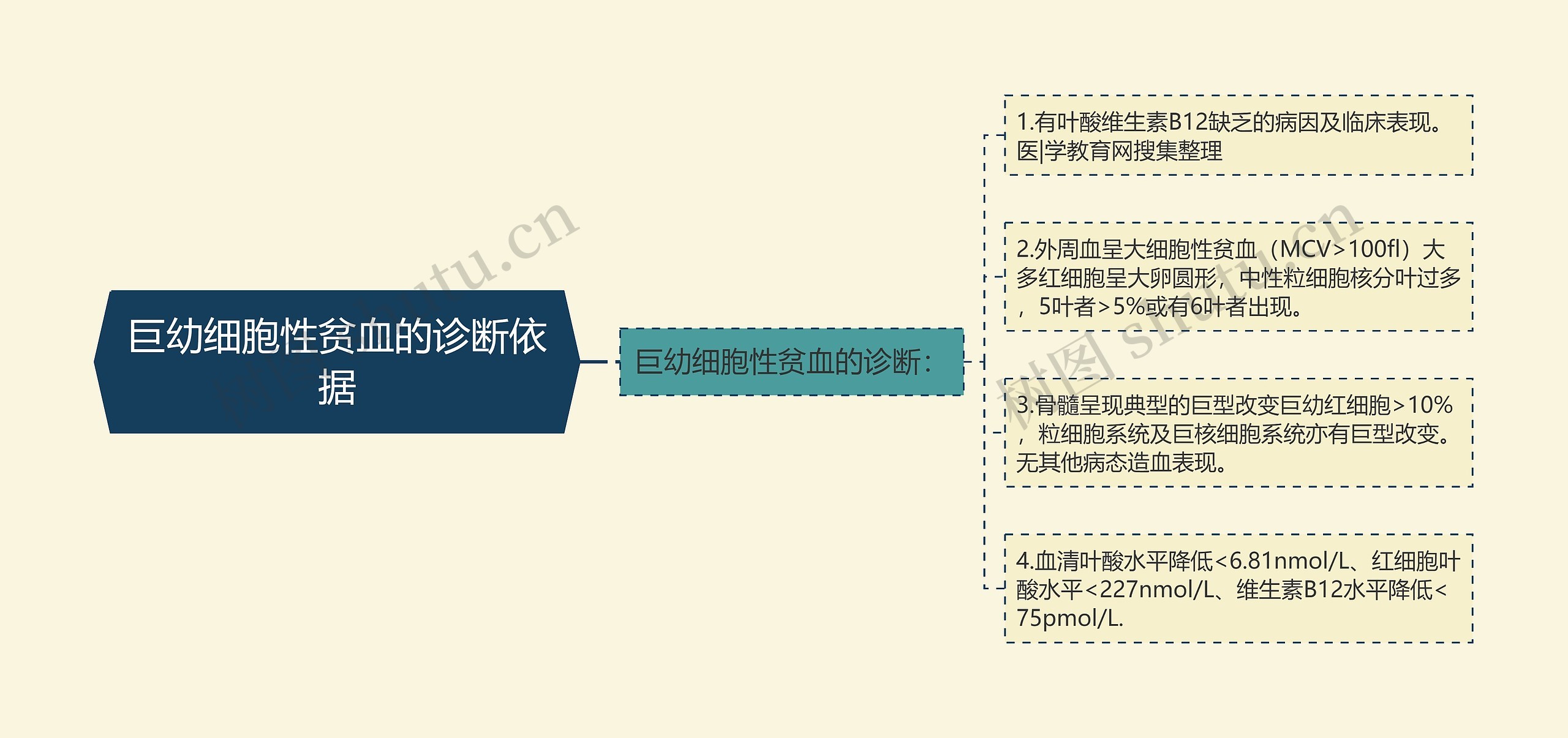 巨幼细胞性贫血的诊断依据思维导图