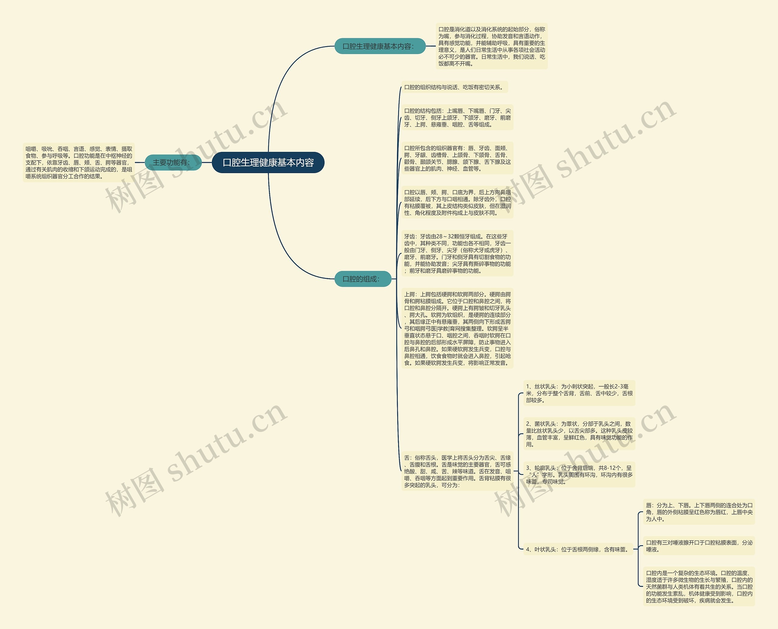 口腔生理健康基本内容思维导图
