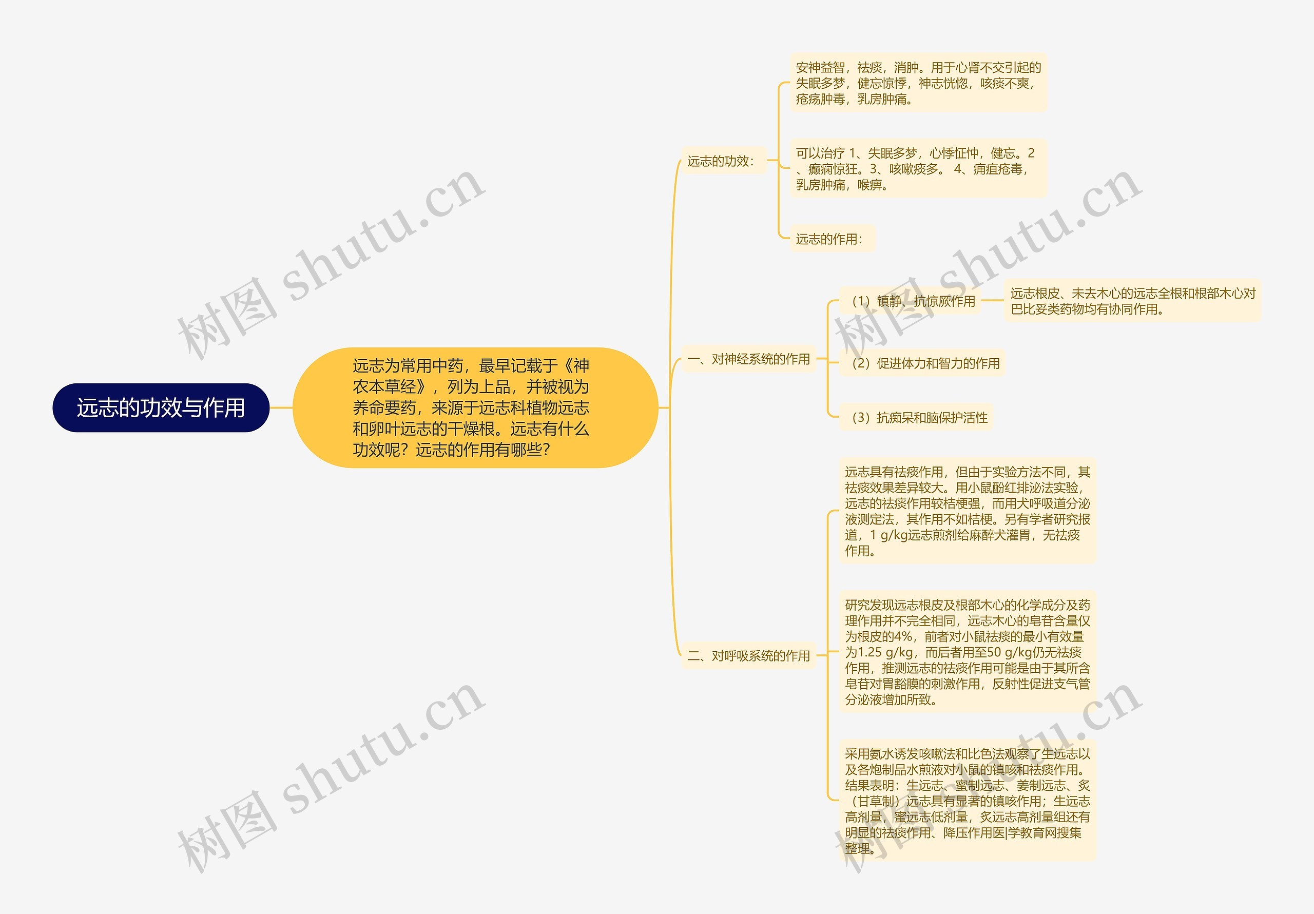 远志的功效与作用思维导图