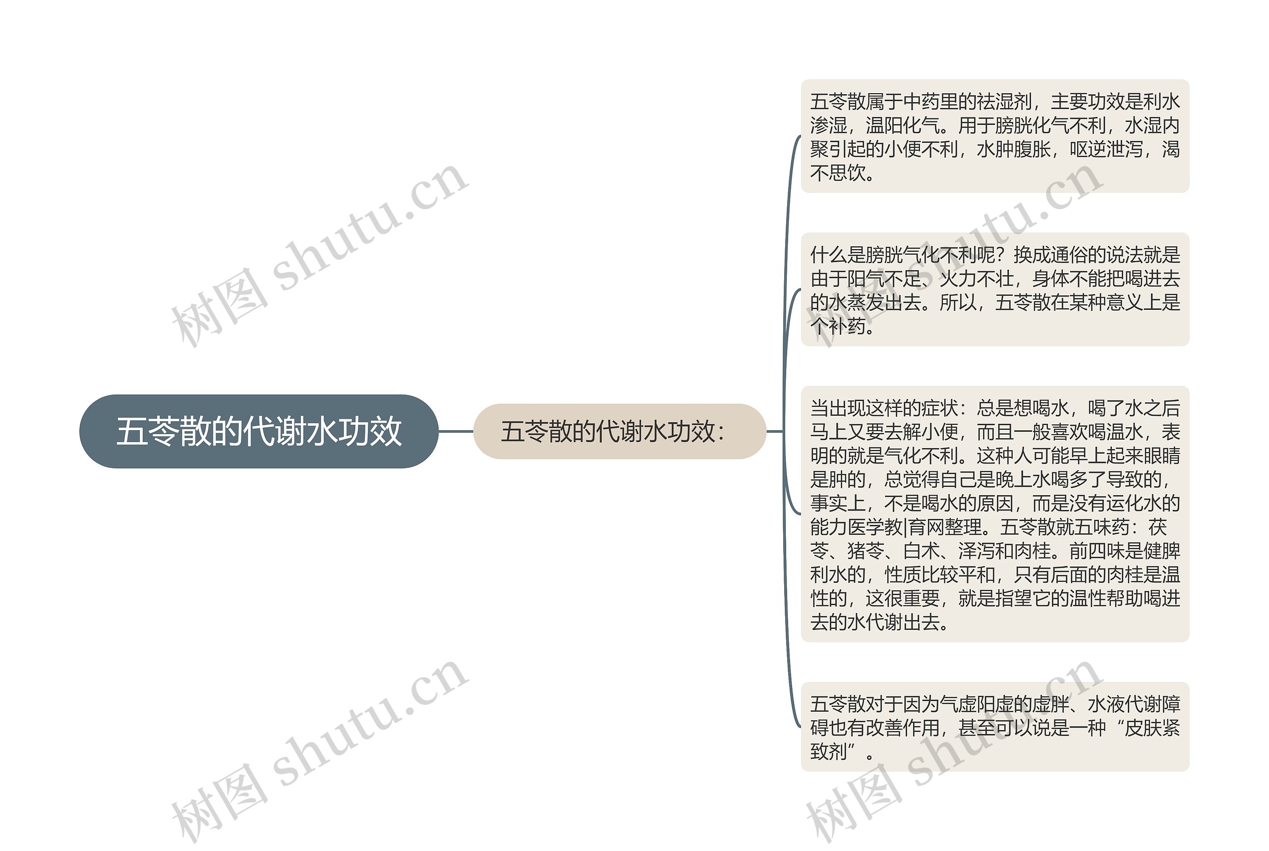 五苓散的代谢水功效思维导图