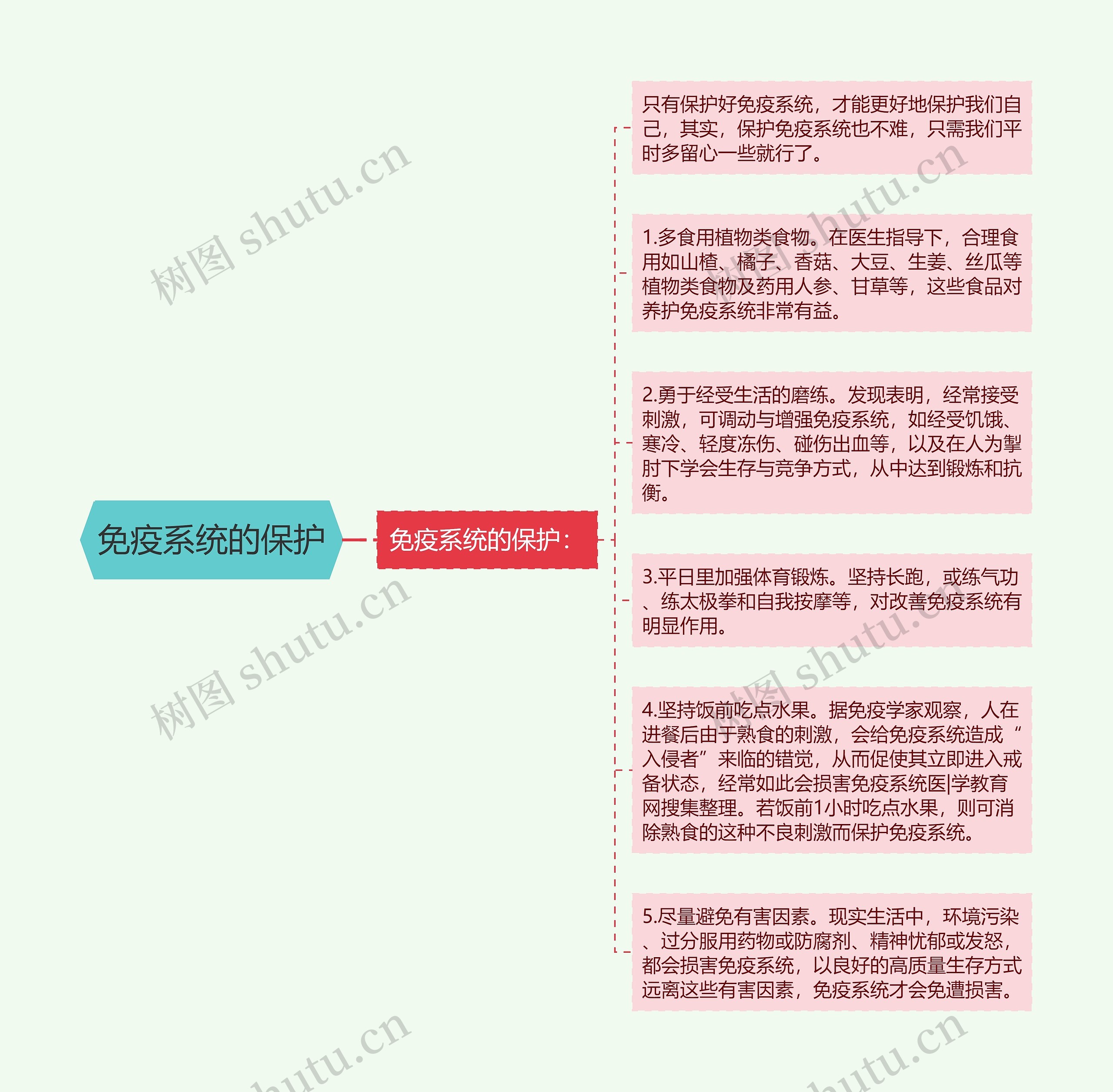 免疫系统的保护 免疫系统的保护