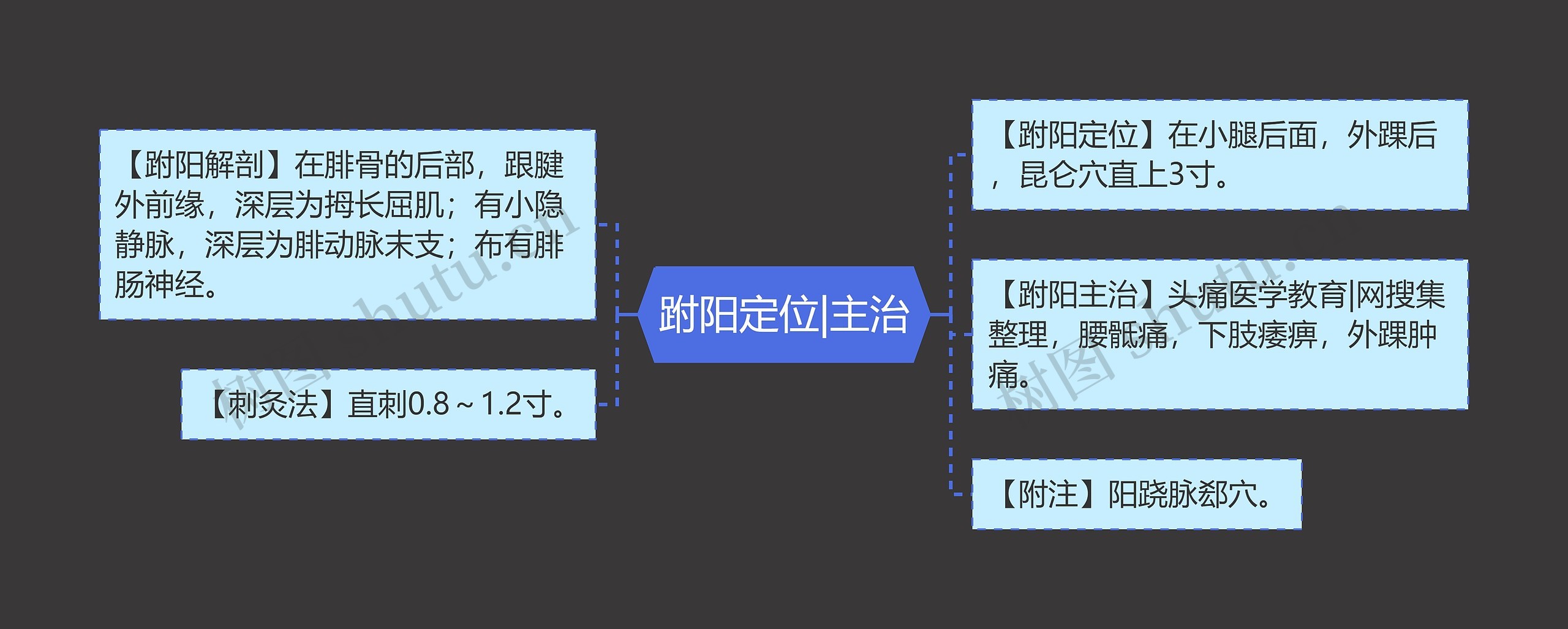 跗阳定位|主治思维导图