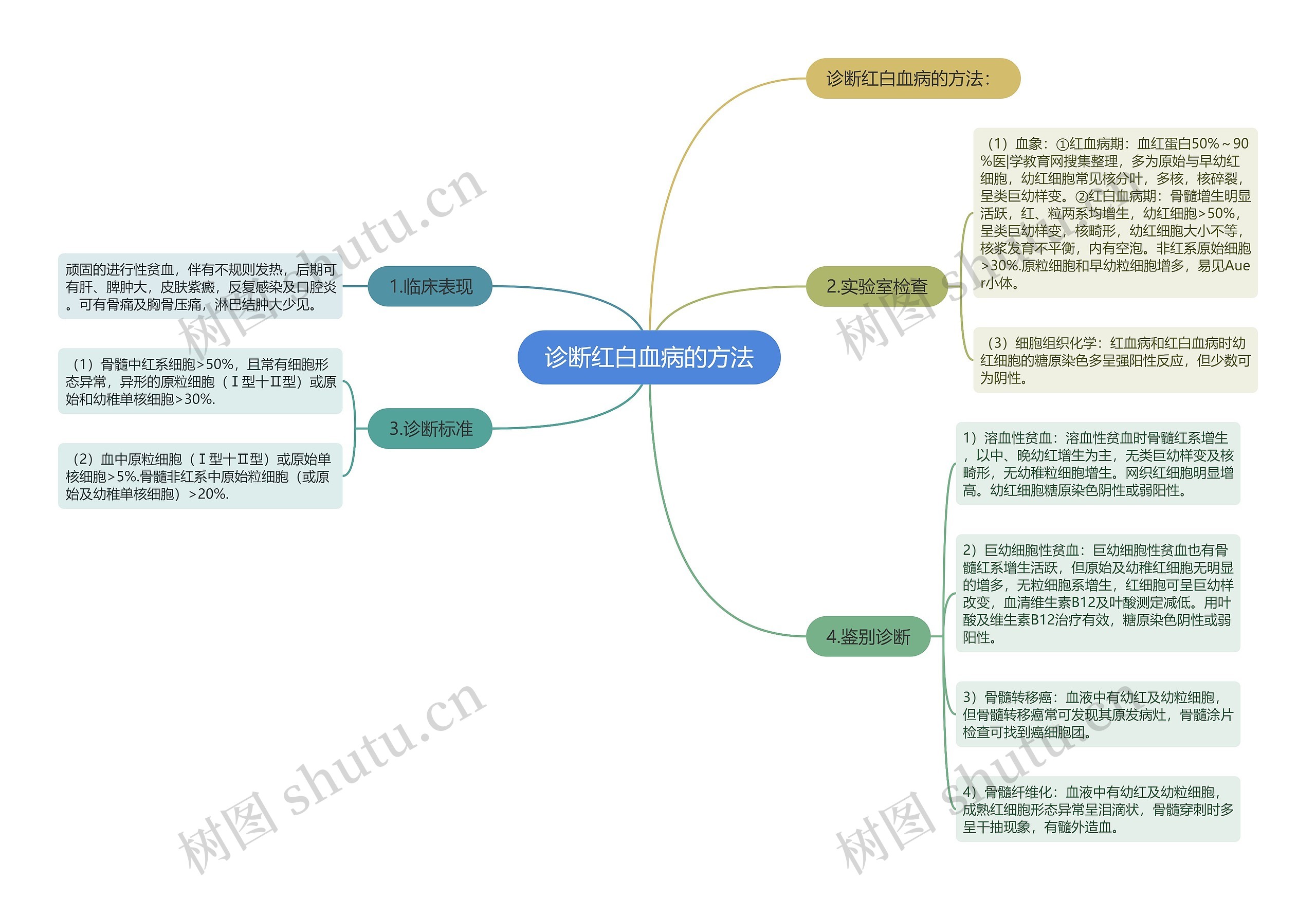 诊断红白血病的方法 诊断红白血病的方法