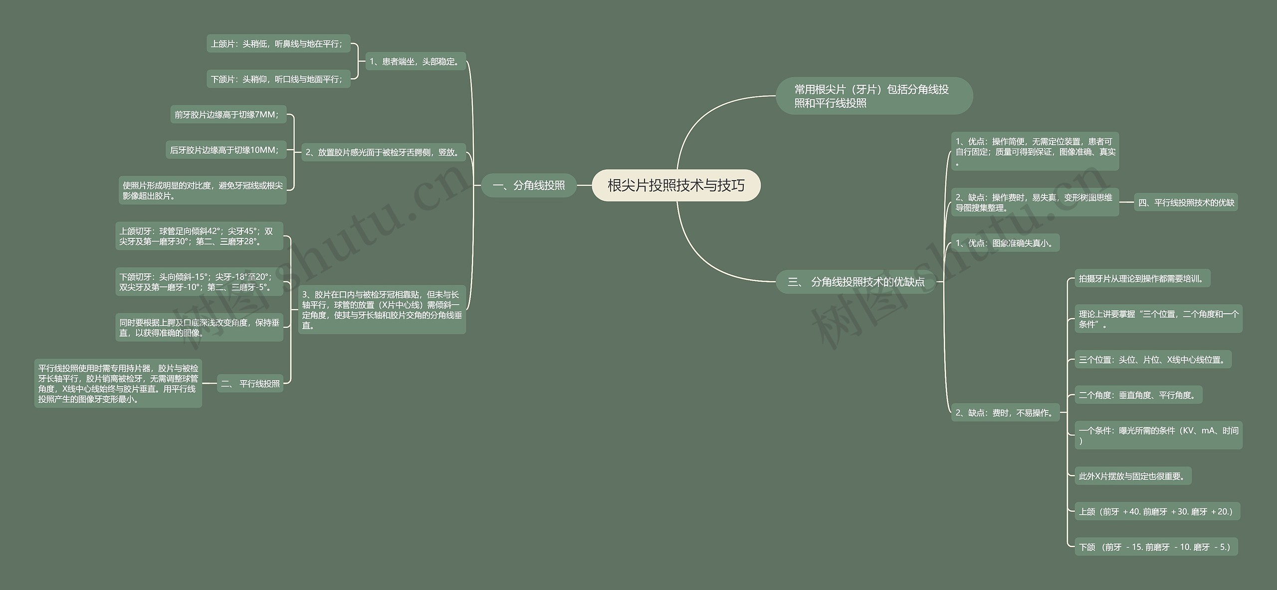 根尖片投照技术与技巧思维导图