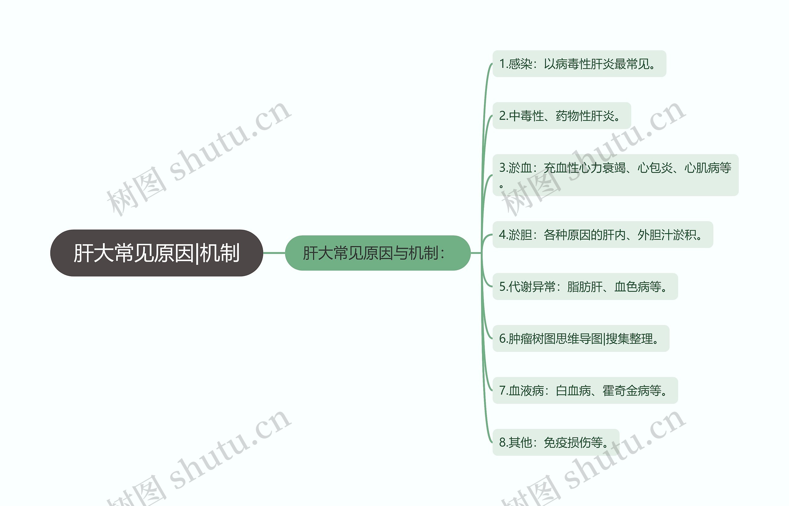 肝大常见原因|机制