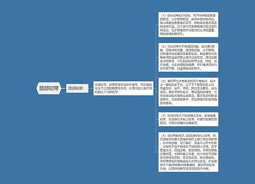 颈部韧带