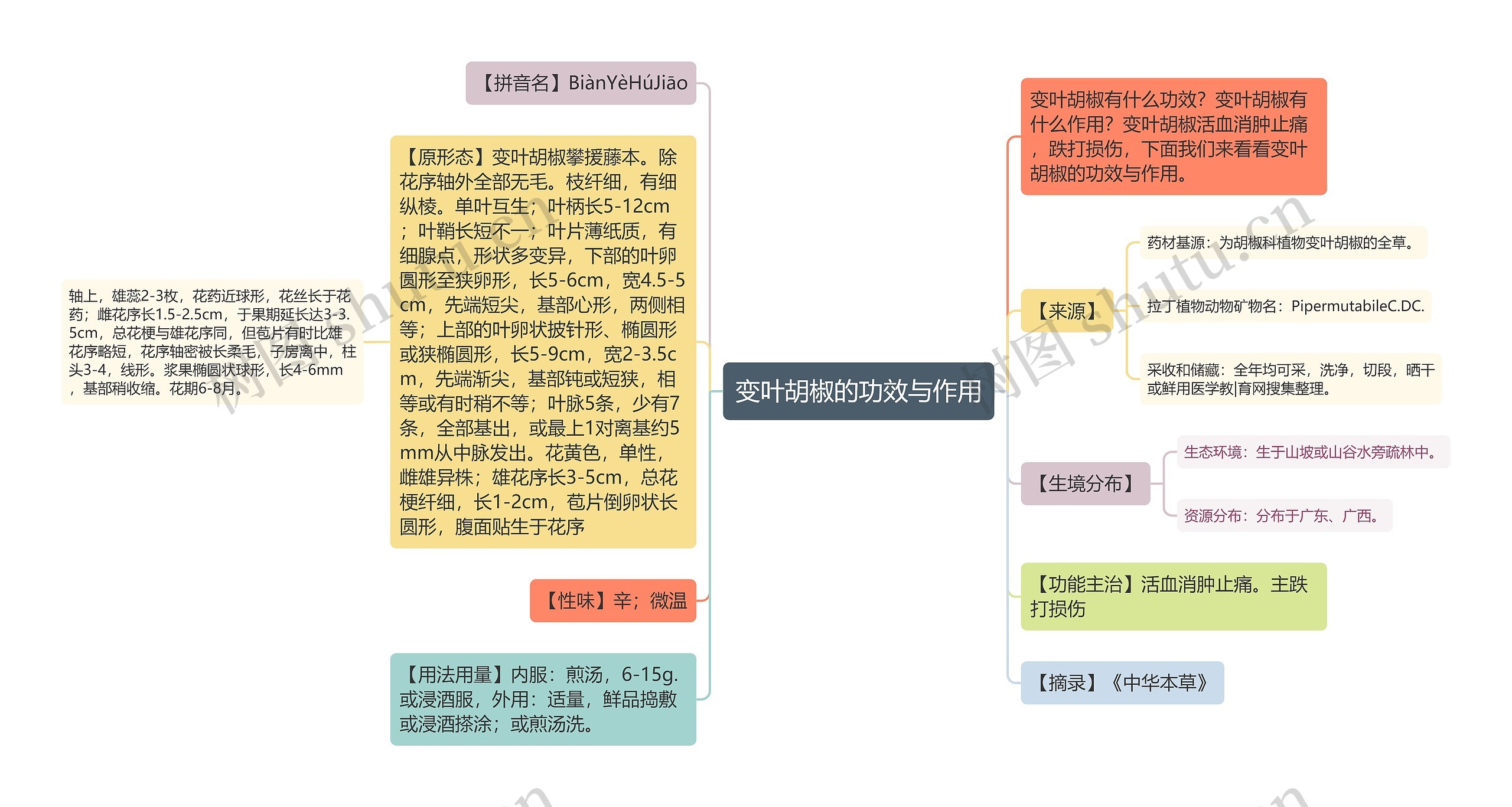 变叶胡椒的功效与作用思维导图