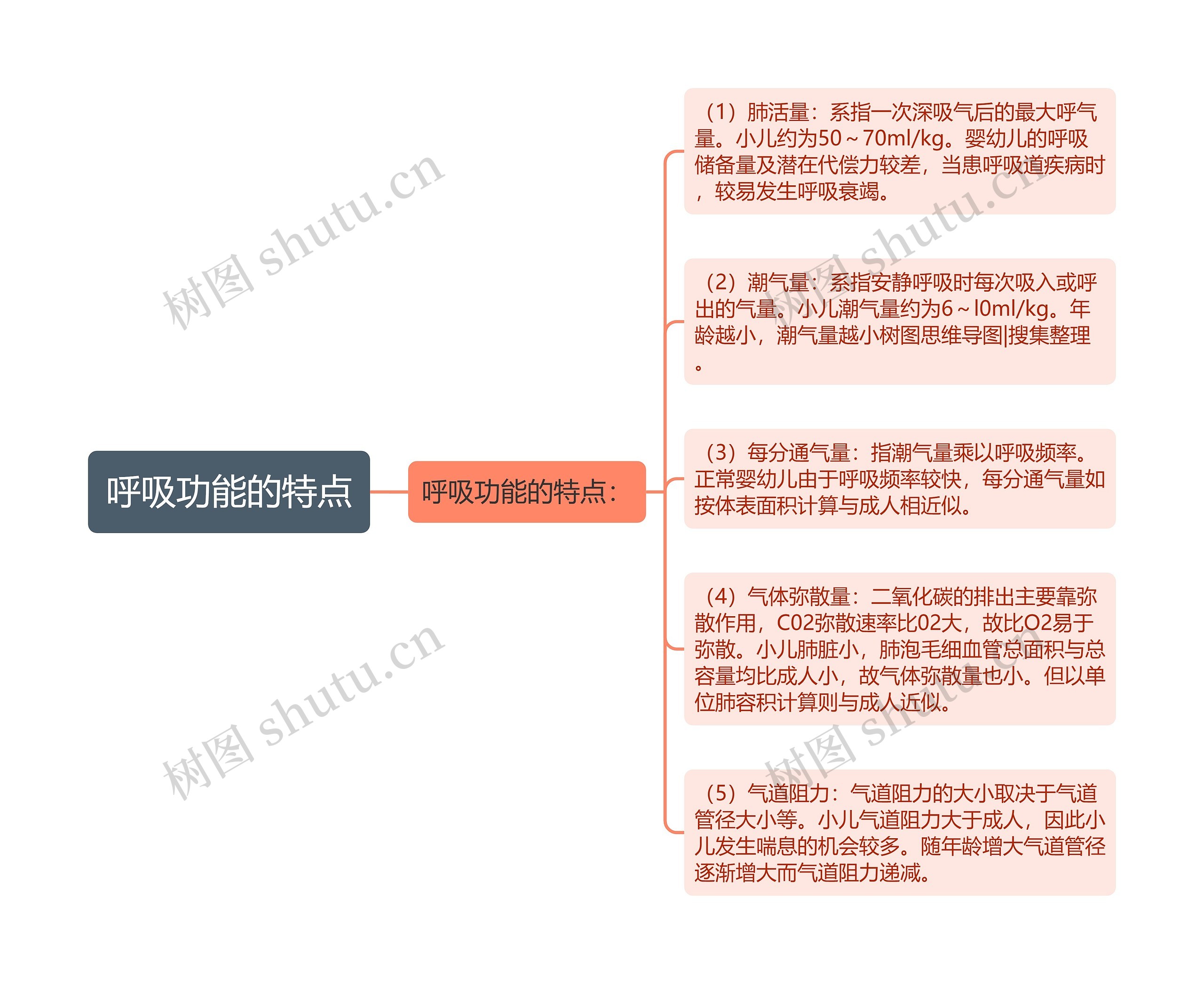 呼吸功能的特点 呼吸功能的特点