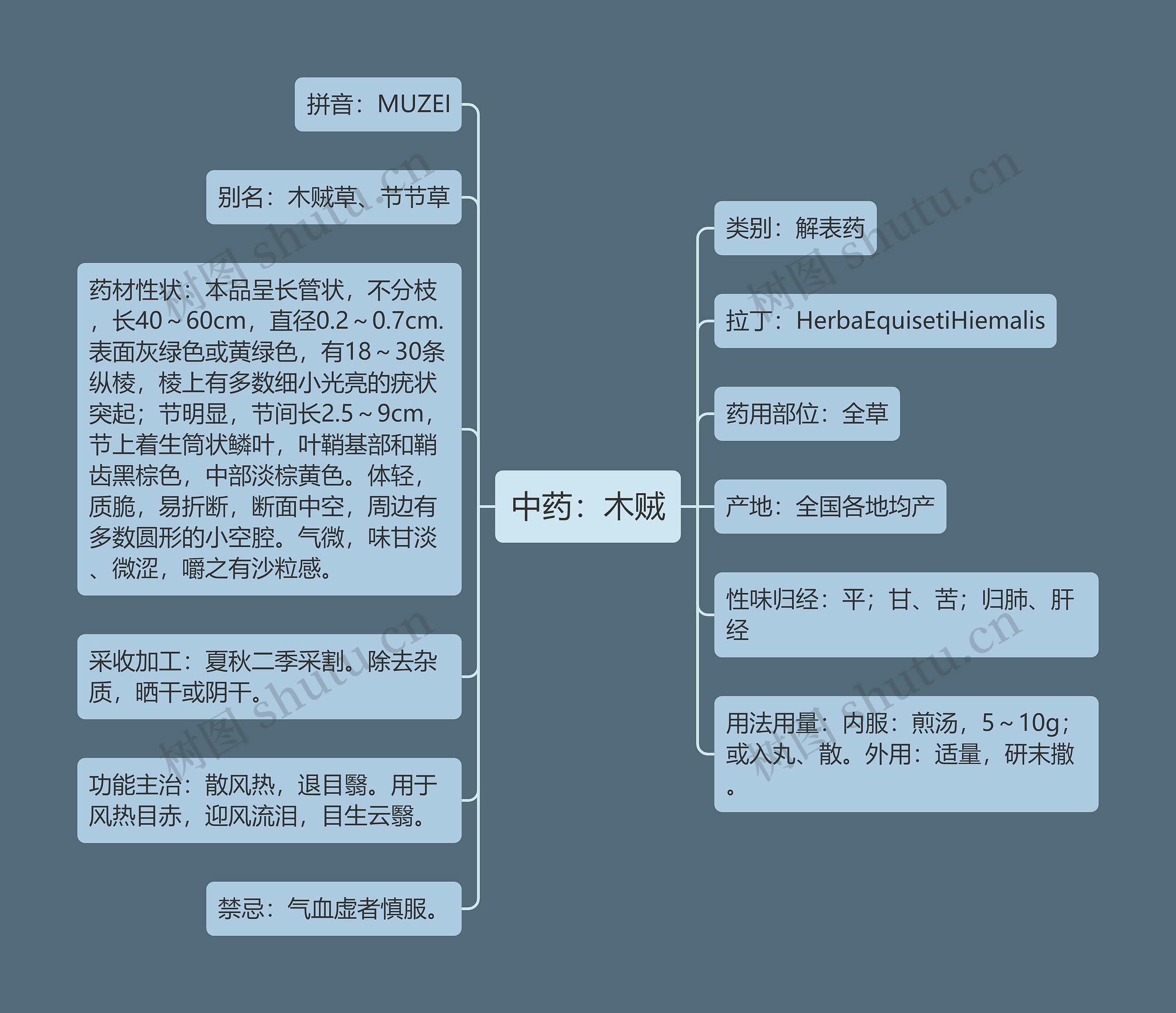 中药：木贼思维导图