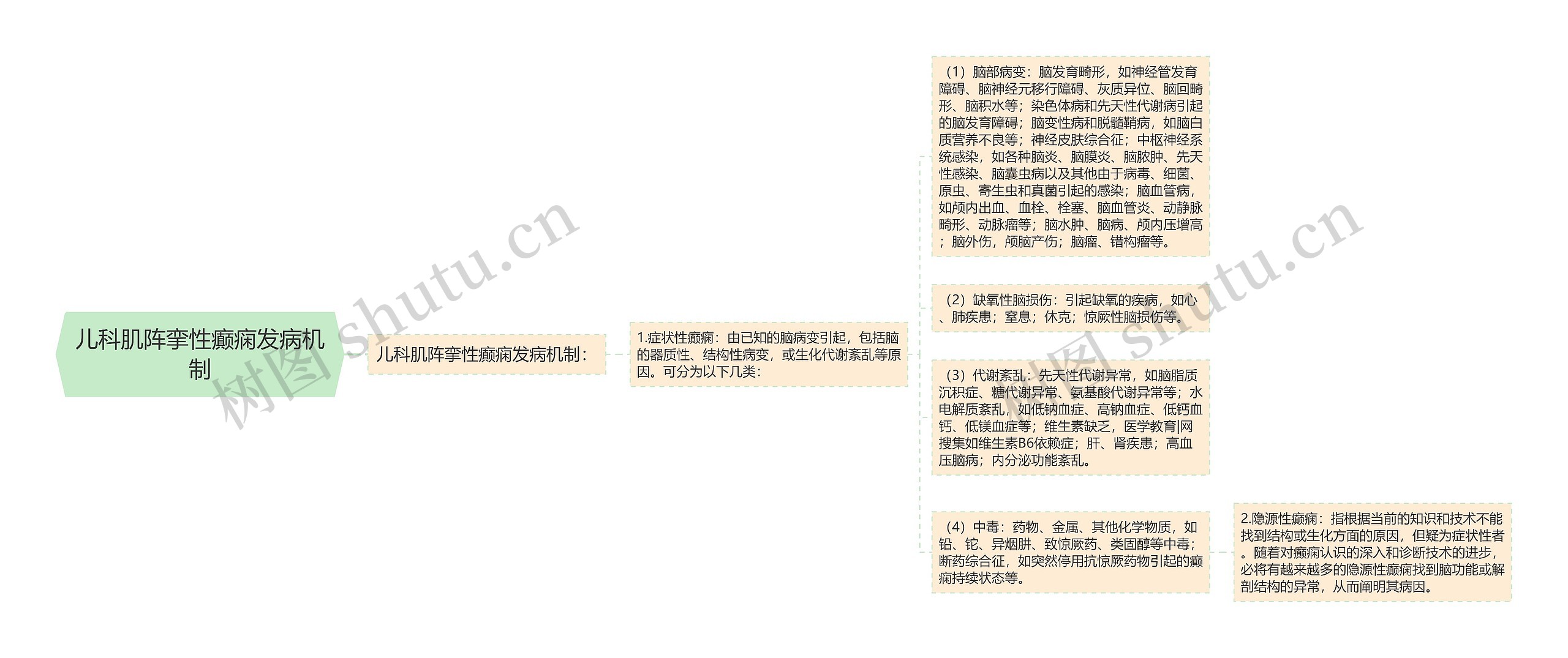 儿科肌阵挛性癫痫发病机制