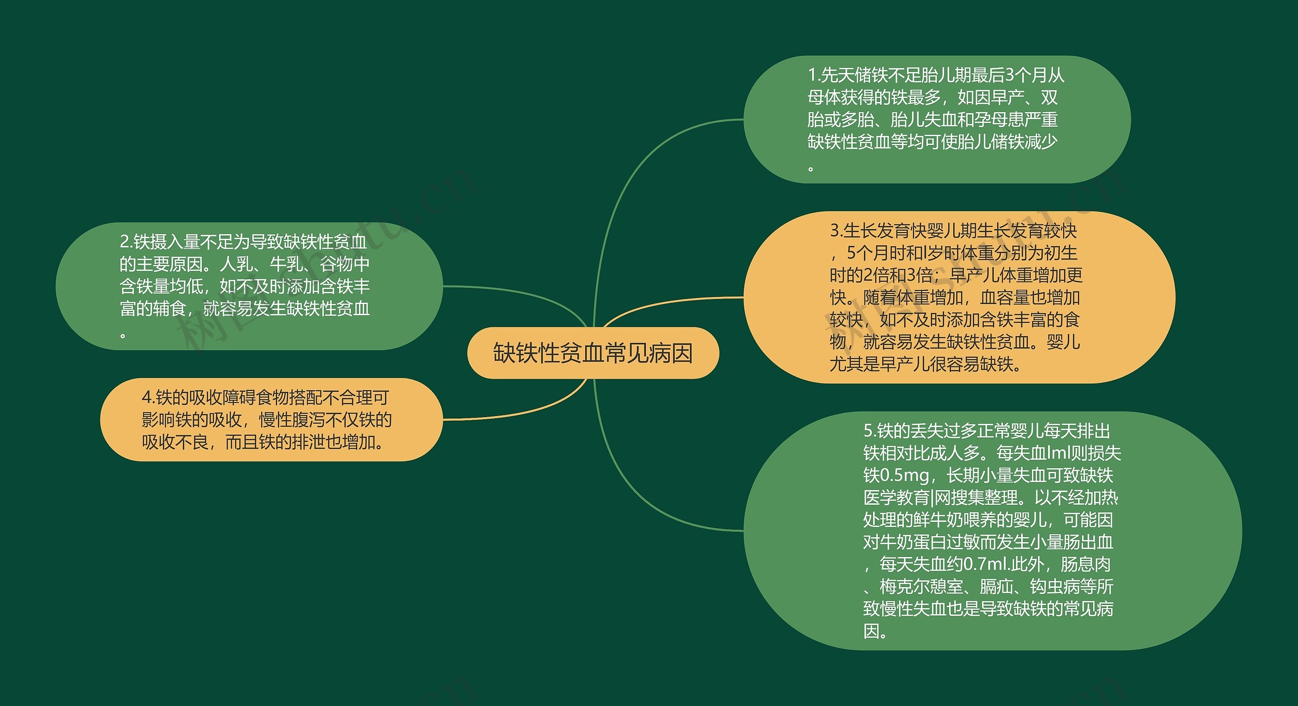 缺铁性贫血常见病因思维导图