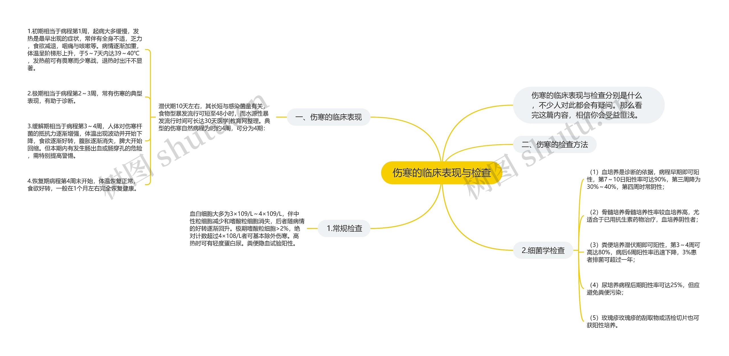 伤寒的临床表现与检查思维导图