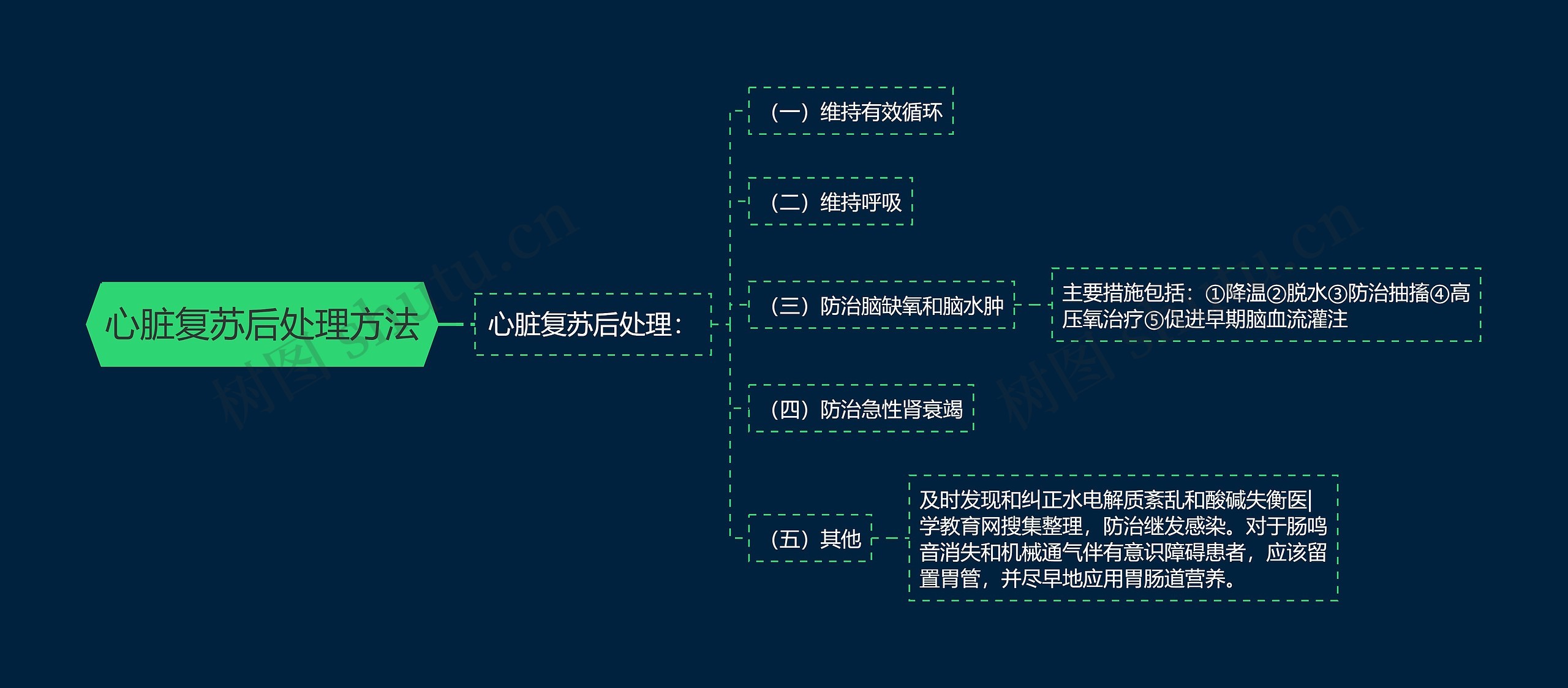 心脏复苏后处理方法思维导图