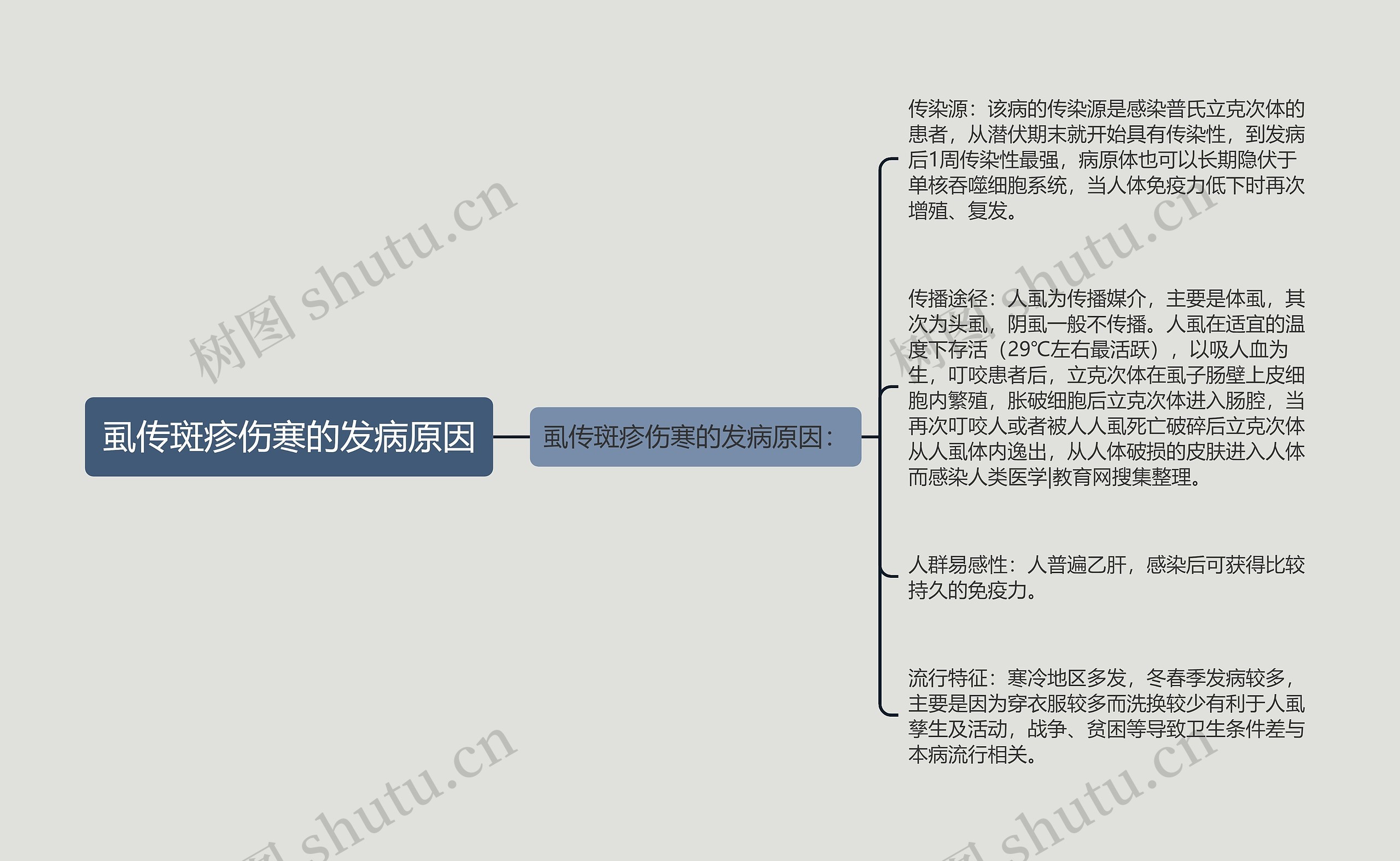 虱传斑疹伤寒的发病原因思维导图