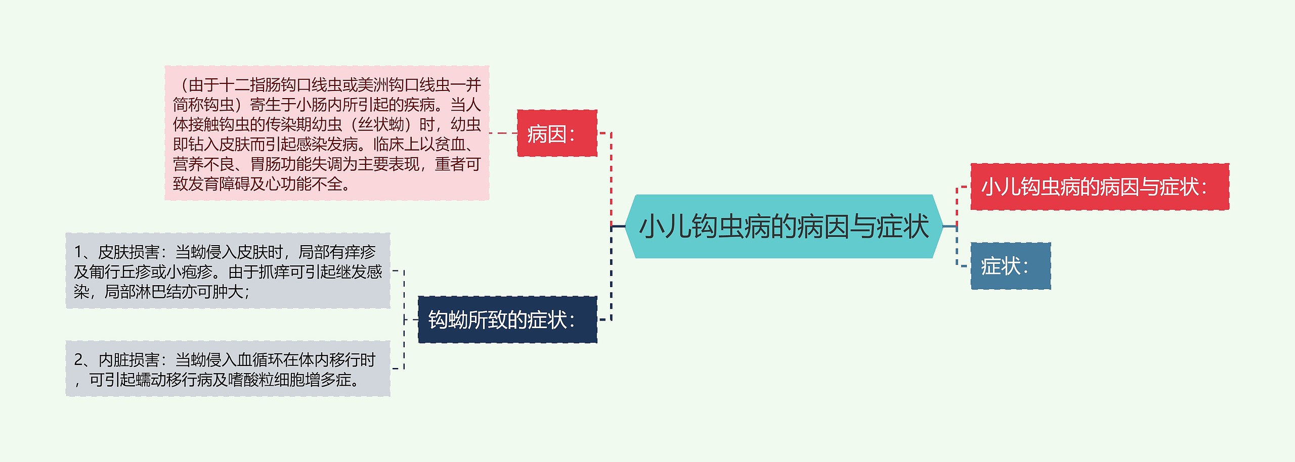 小儿钩虫病的病因与症状思维导图