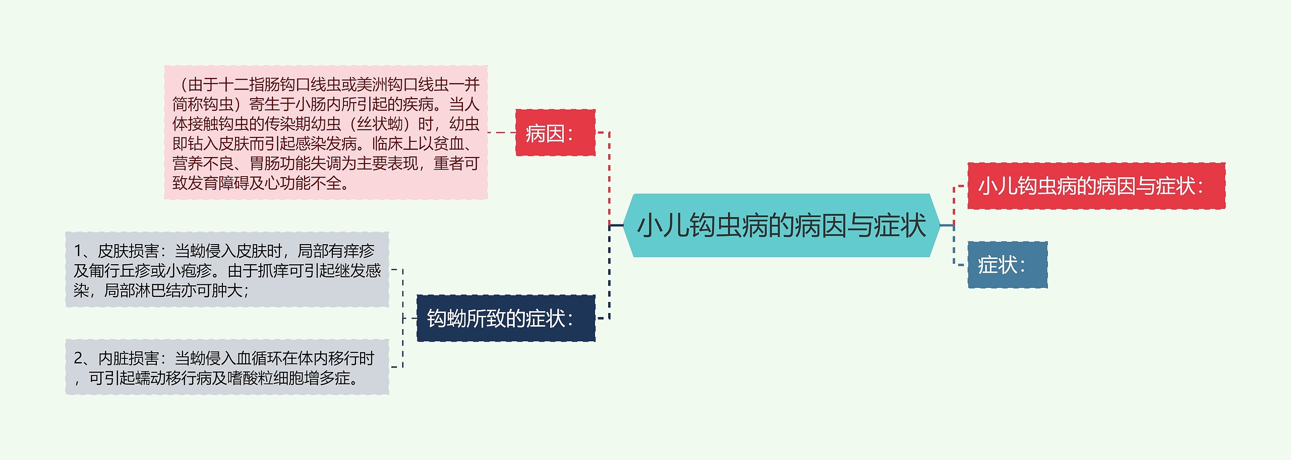 小儿钩虫病的病因与症状 小儿钩虫病的病因与症状