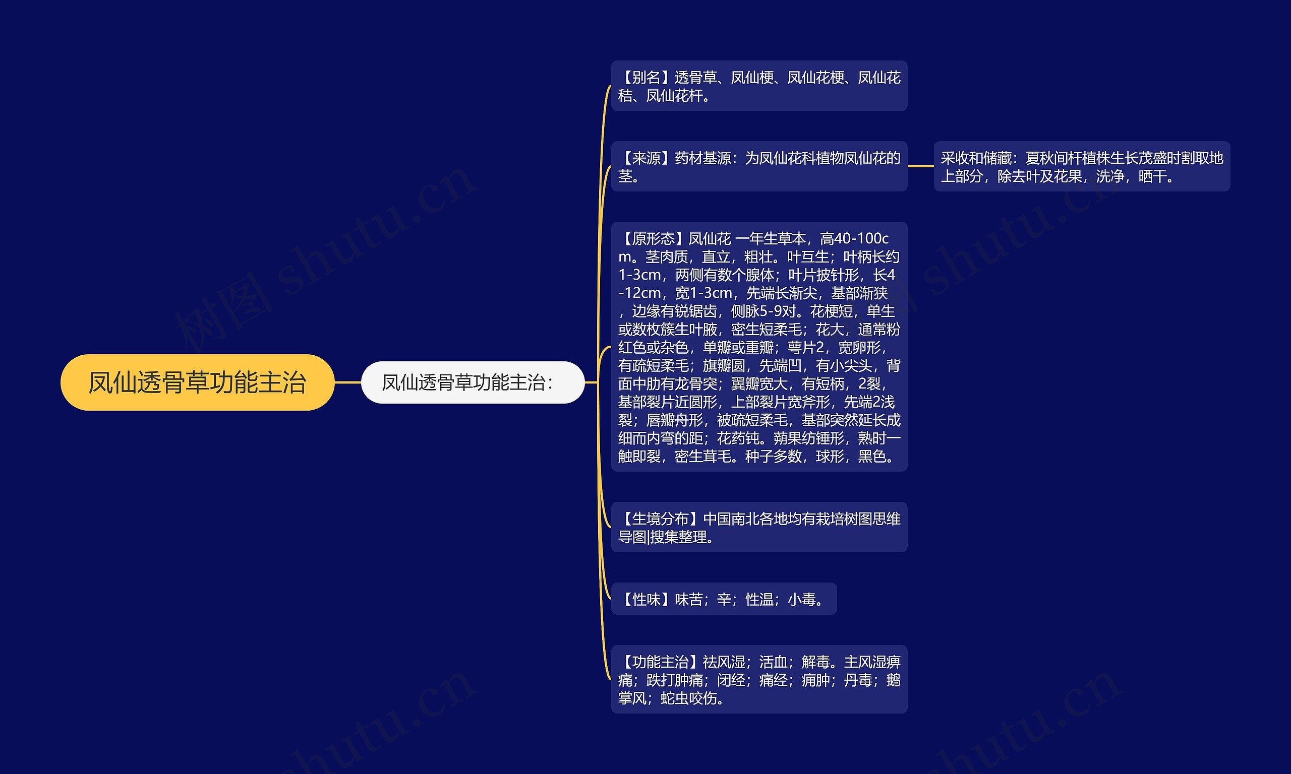 凤仙透骨草功能主治思维导图