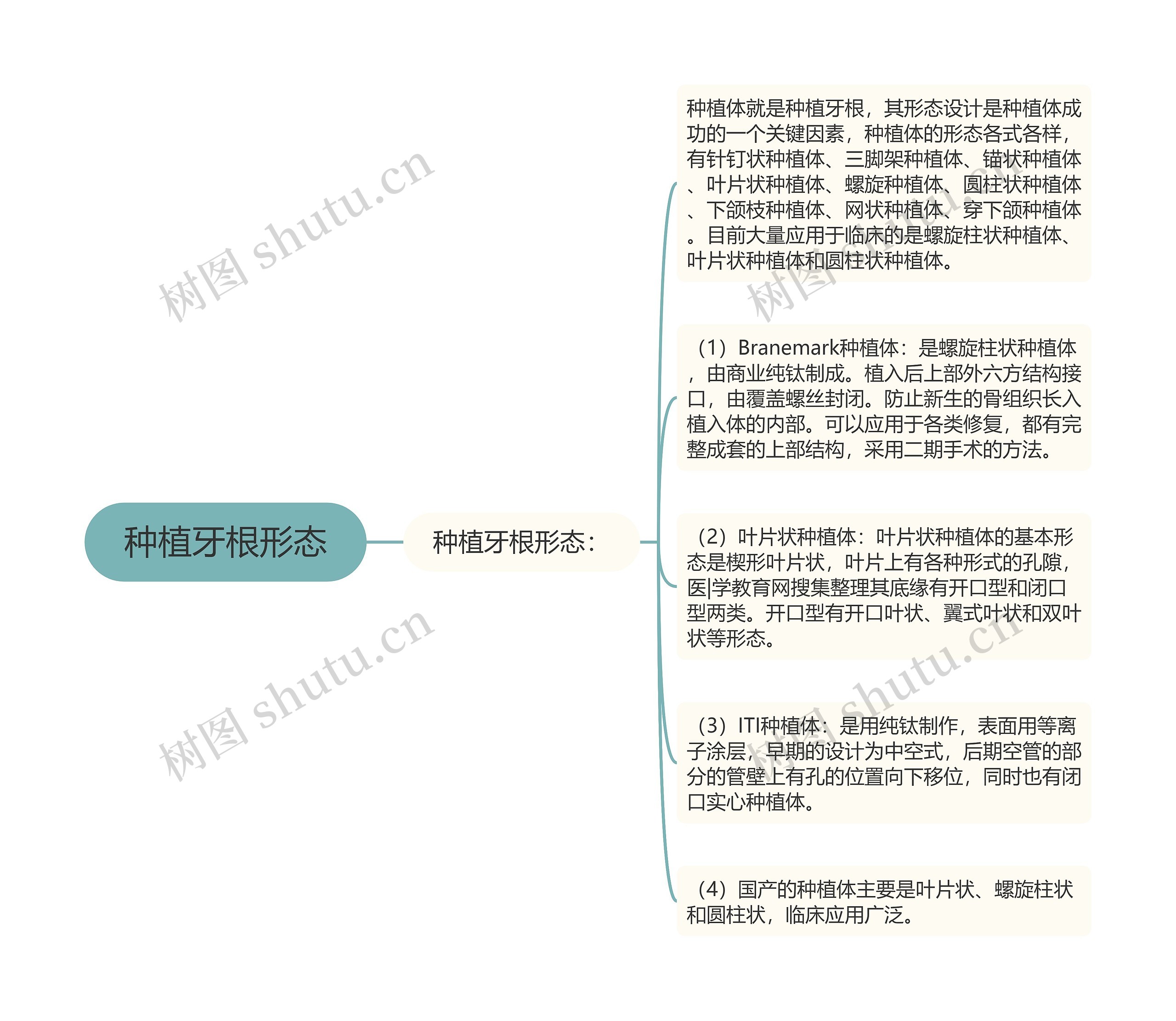 种植牙根形态 种植牙根形态