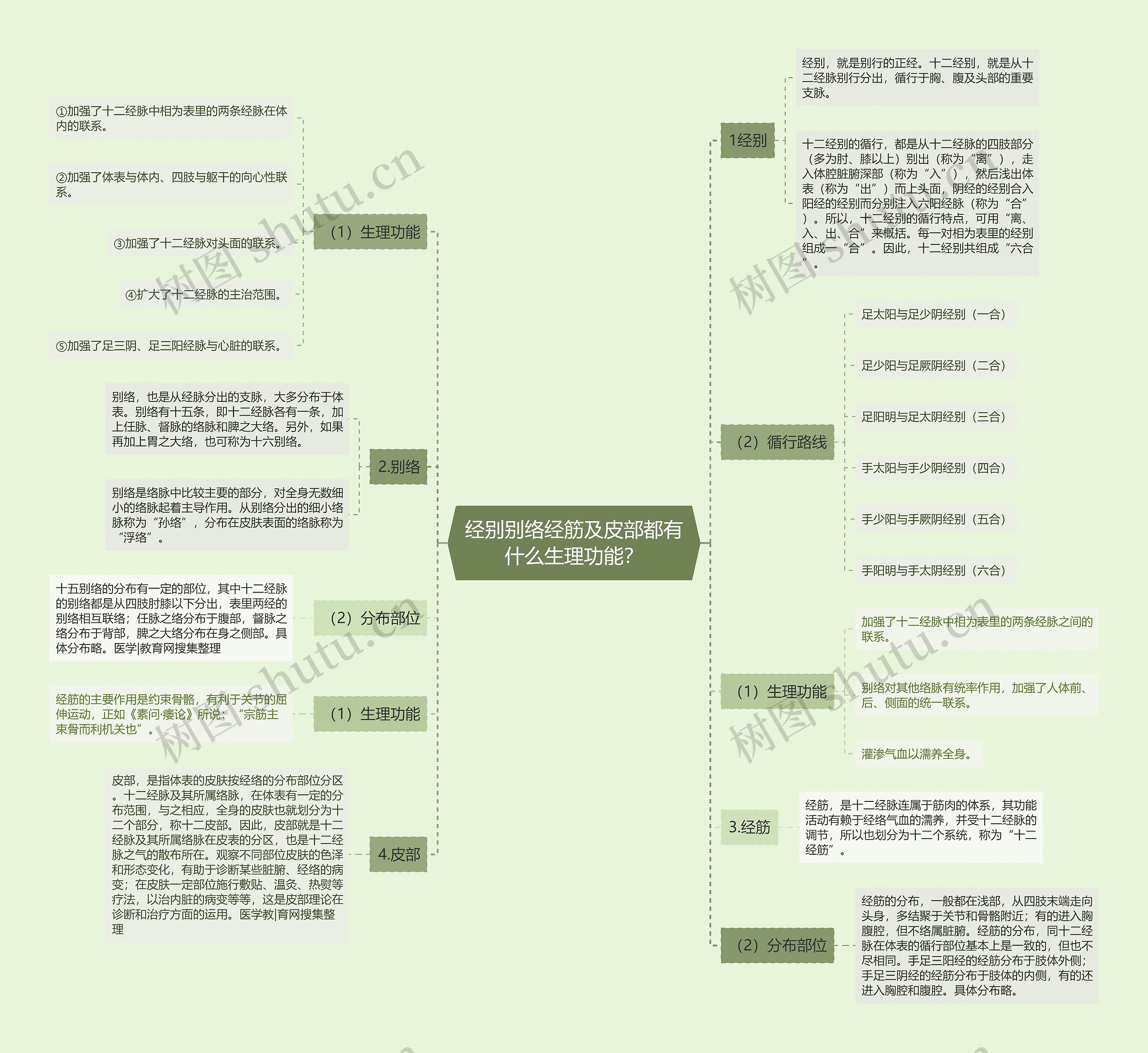 经别别络经筋及皮部都有什么生理功能？思维导图