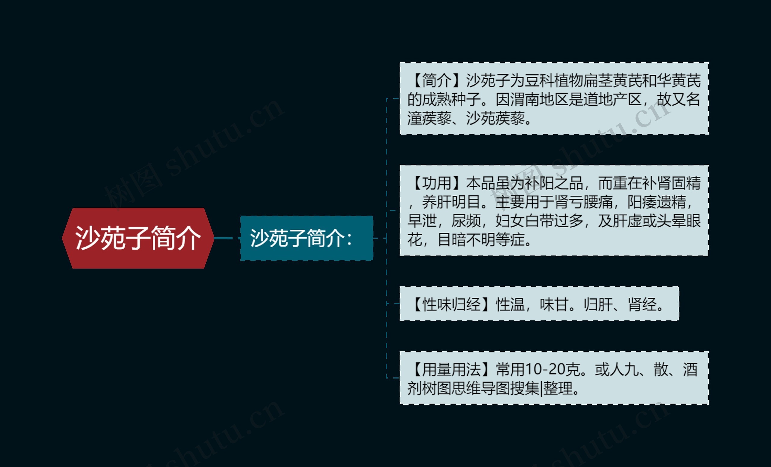 沙苑子简介思维导图