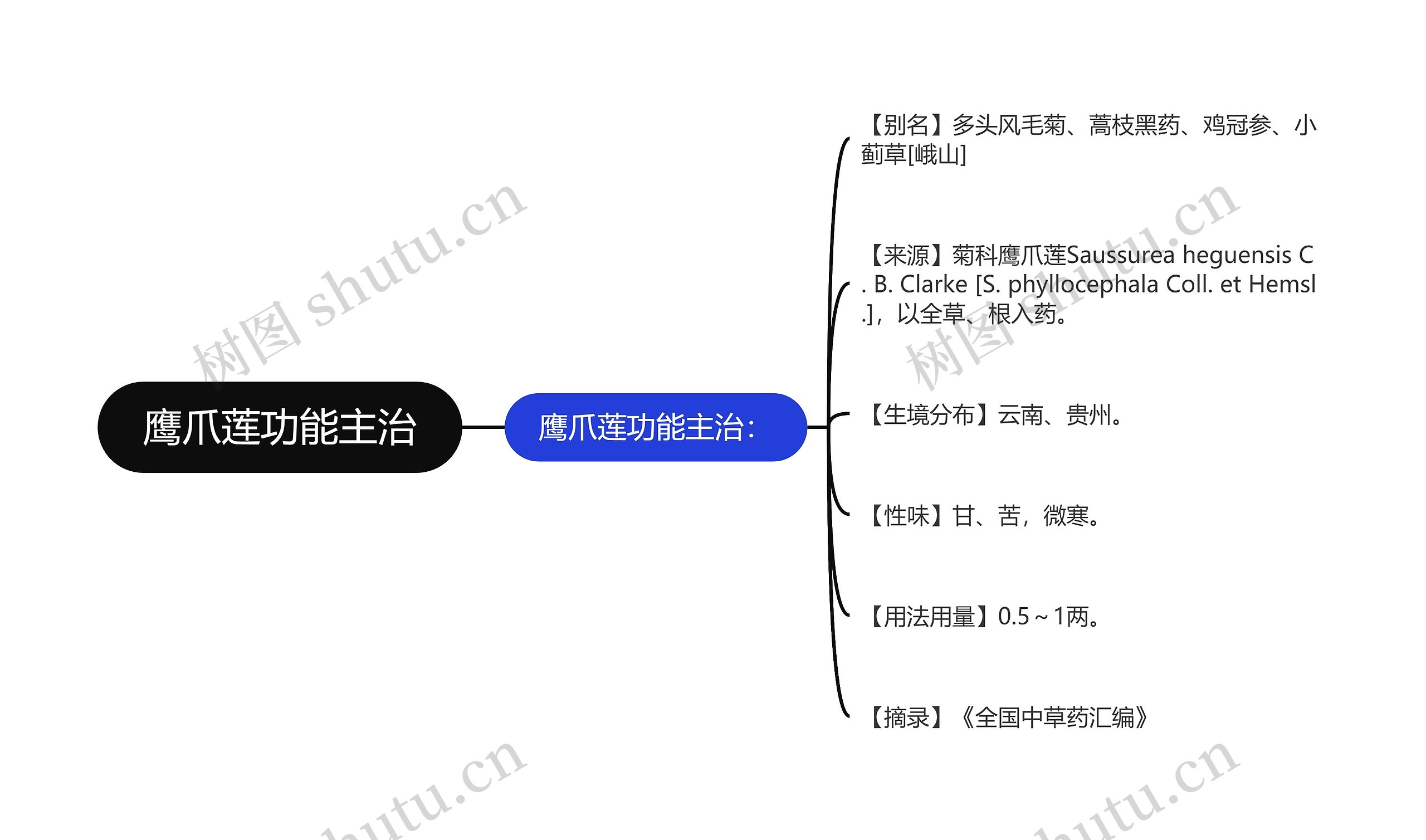 鹰爪莲功能主治思维导图