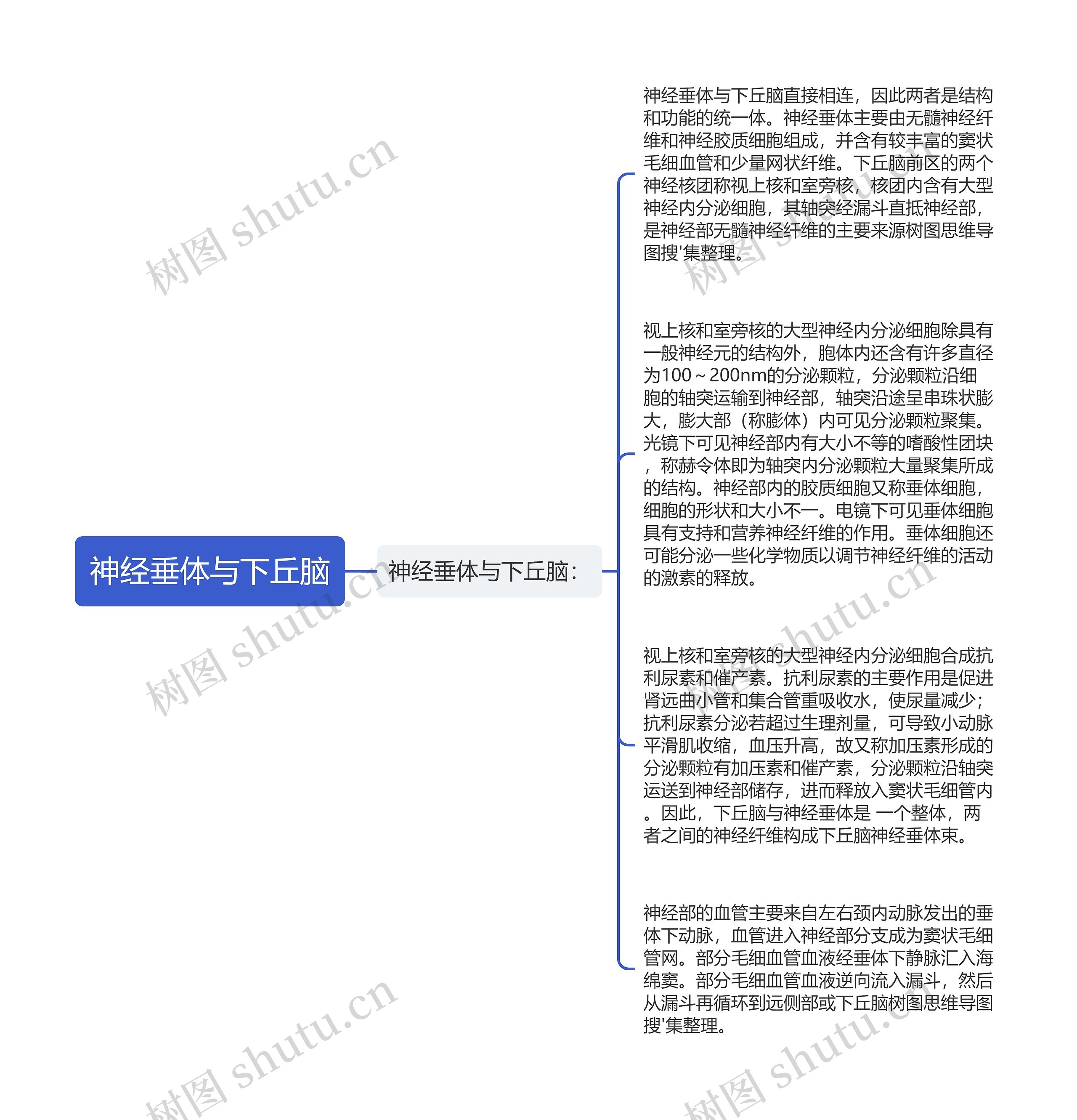 神经垂体与下丘脑