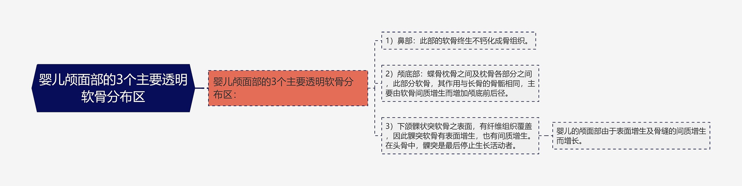 婴儿颅面部的3个主要透明软骨分布区思维导图