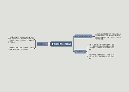 中医太阳腑证的概念