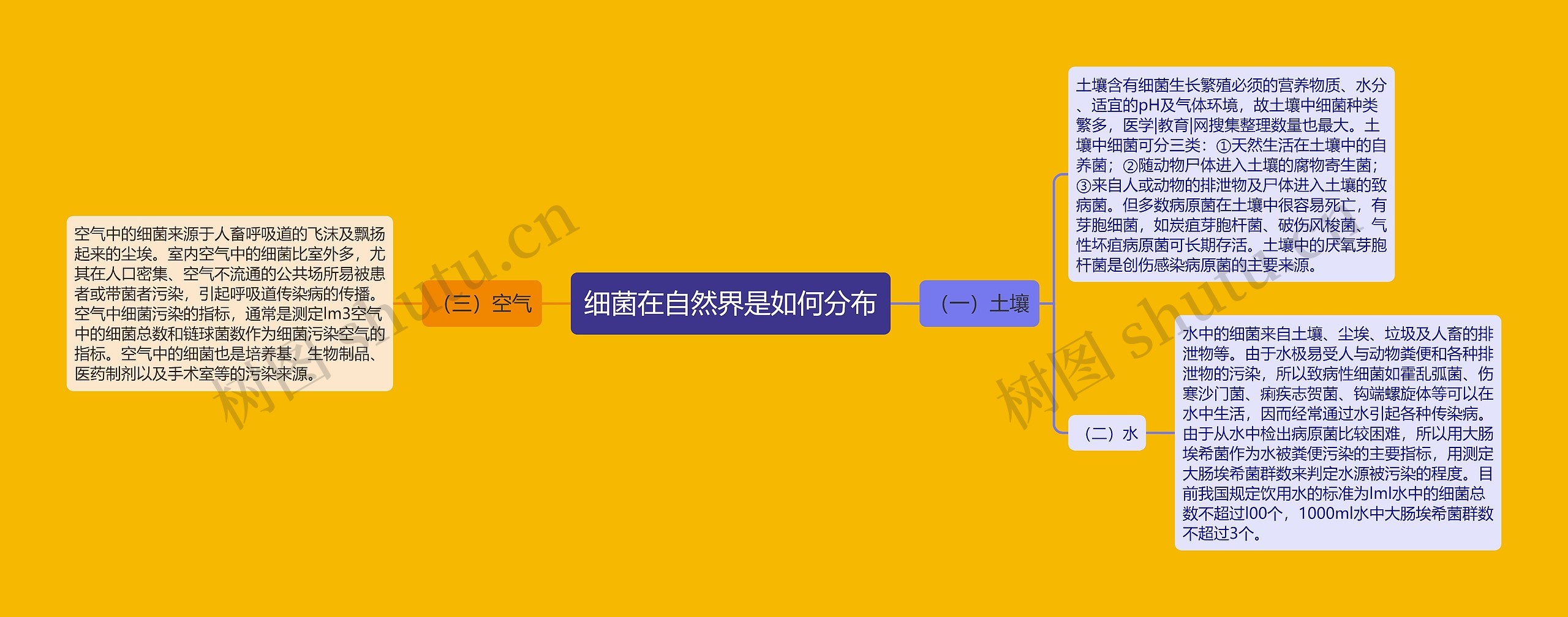 细菌在自然界是如何分布思维导图