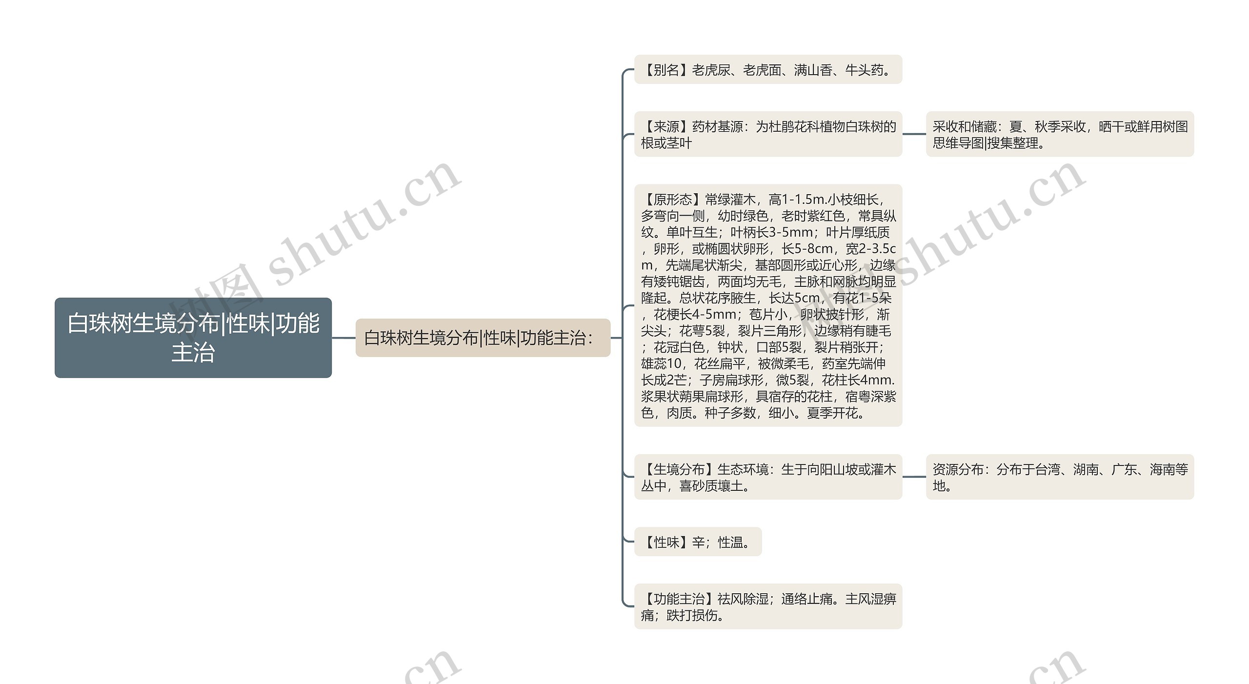 白珠树生境分布|性味|功能主治思维导图