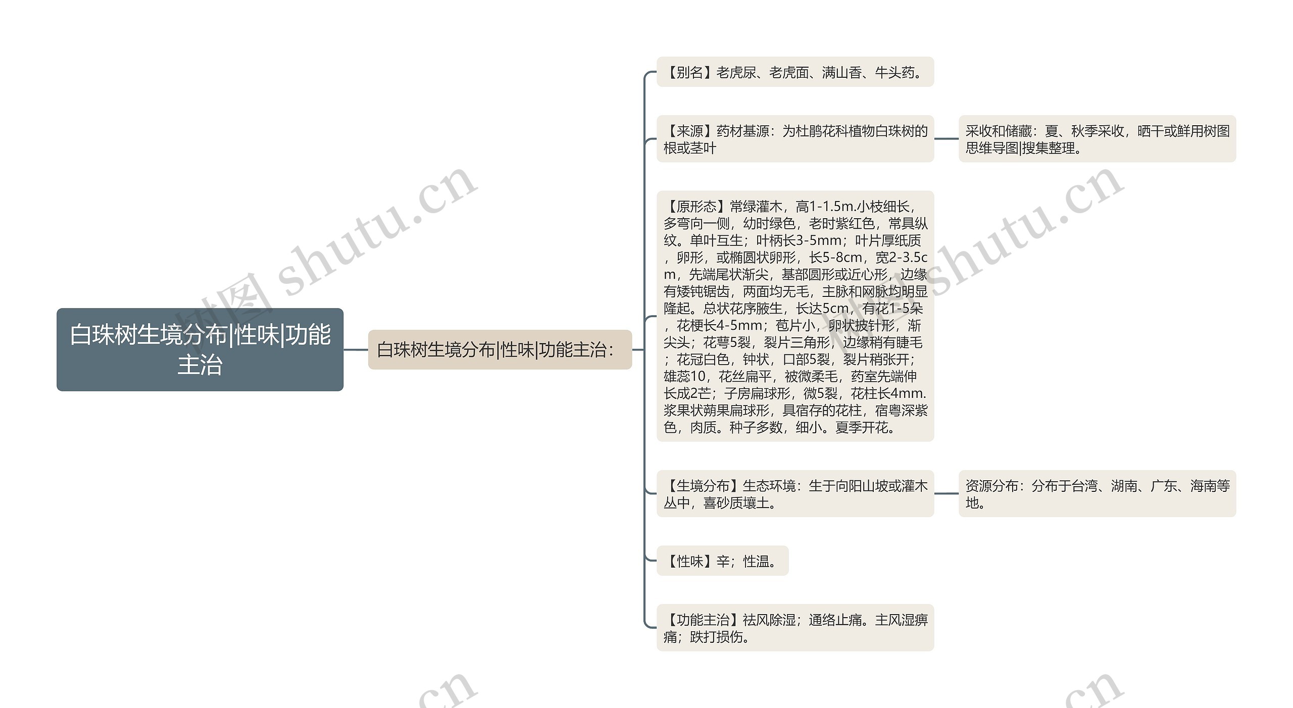 白珠树生境分布|性味|功能主治 白珠树生境分布|性味|功能主治