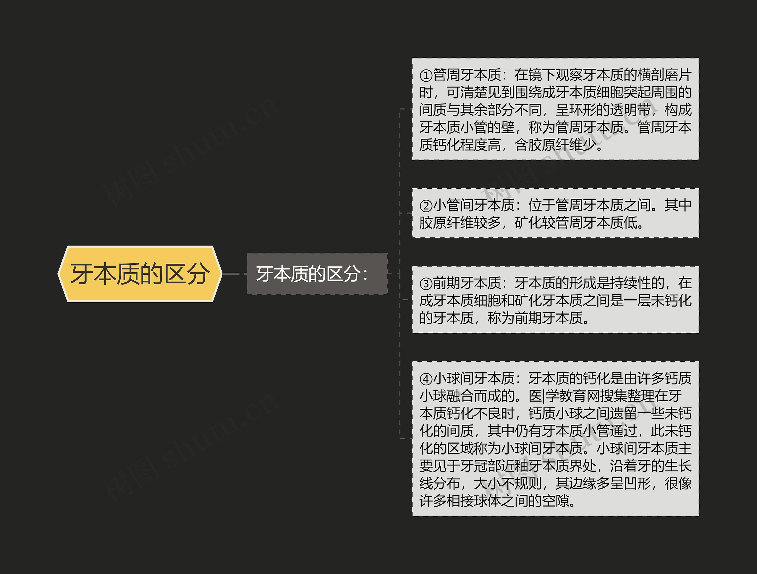 牙本质的区分 牙本质的区分