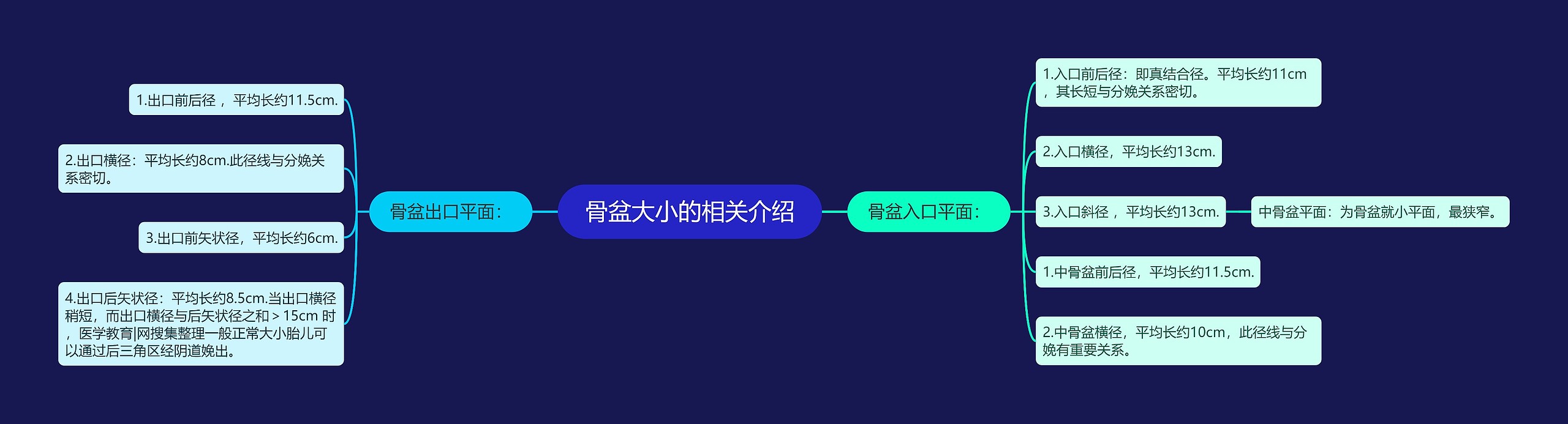 骨盆大小的相关介绍