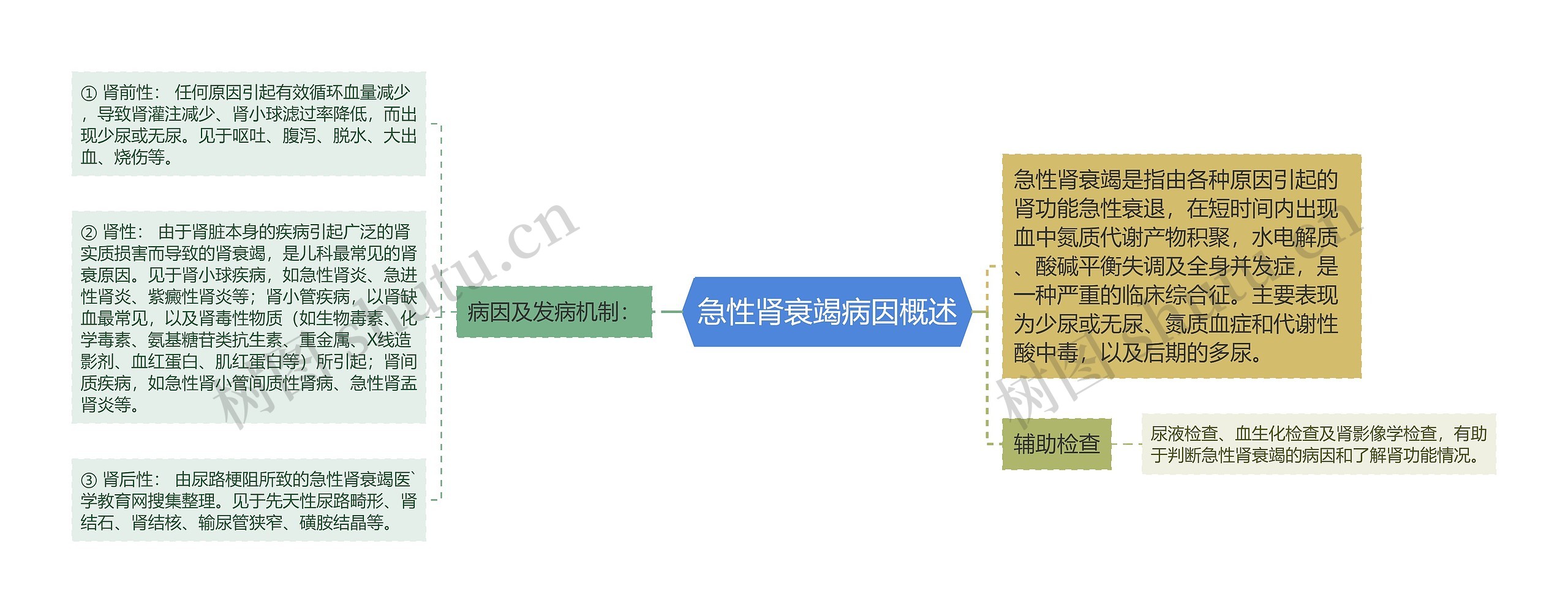 急性肾衰竭病因概述思维导图