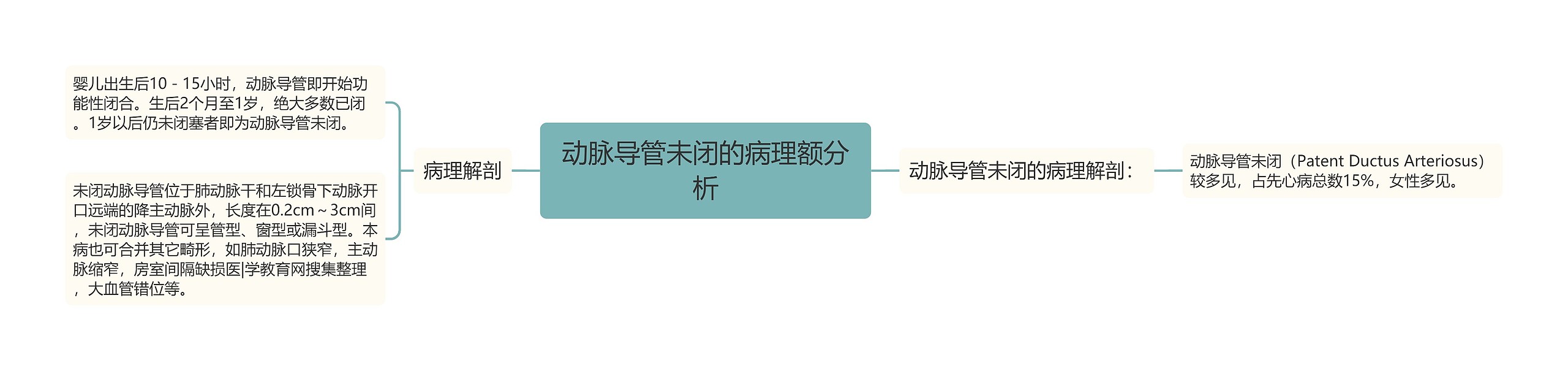 动脉导管未闭的病理额分析 动脉导管未闭的病理额分析