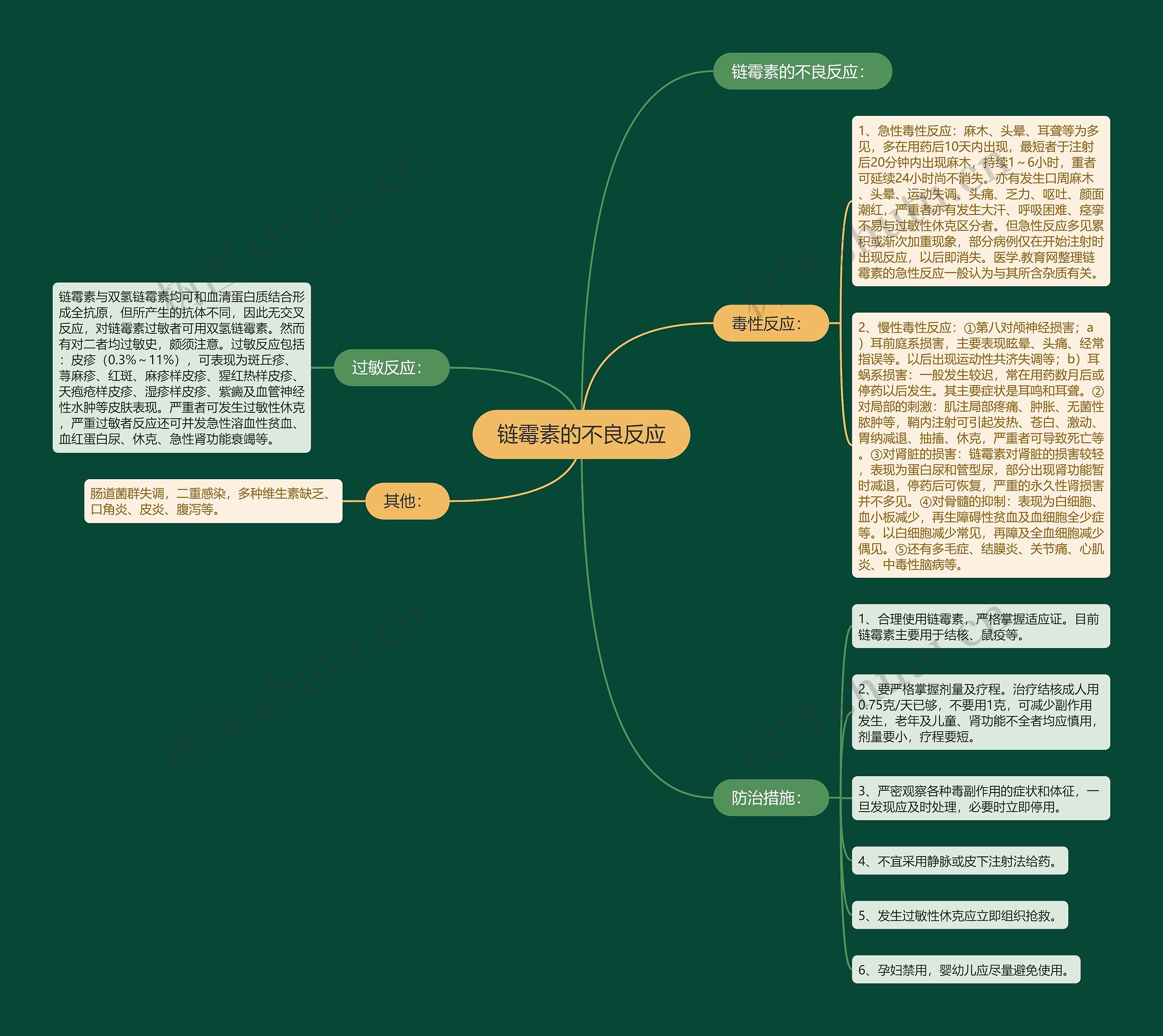 链霉素的不良反应思维导图