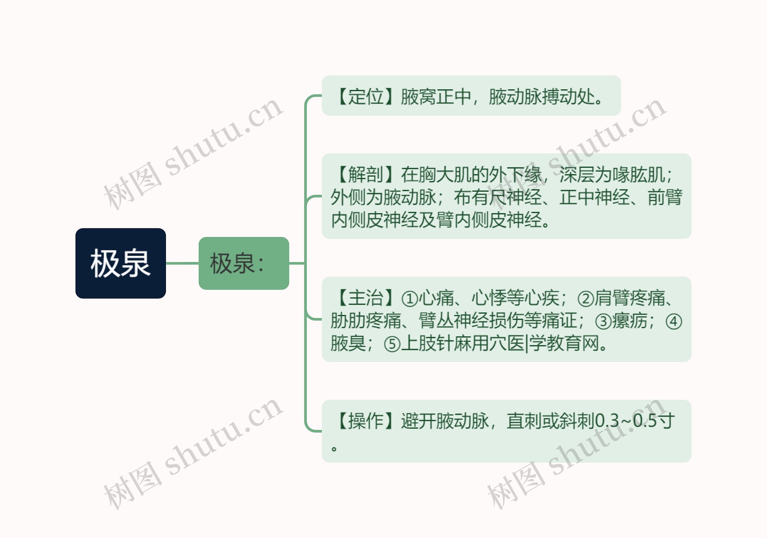 极泉思维导图