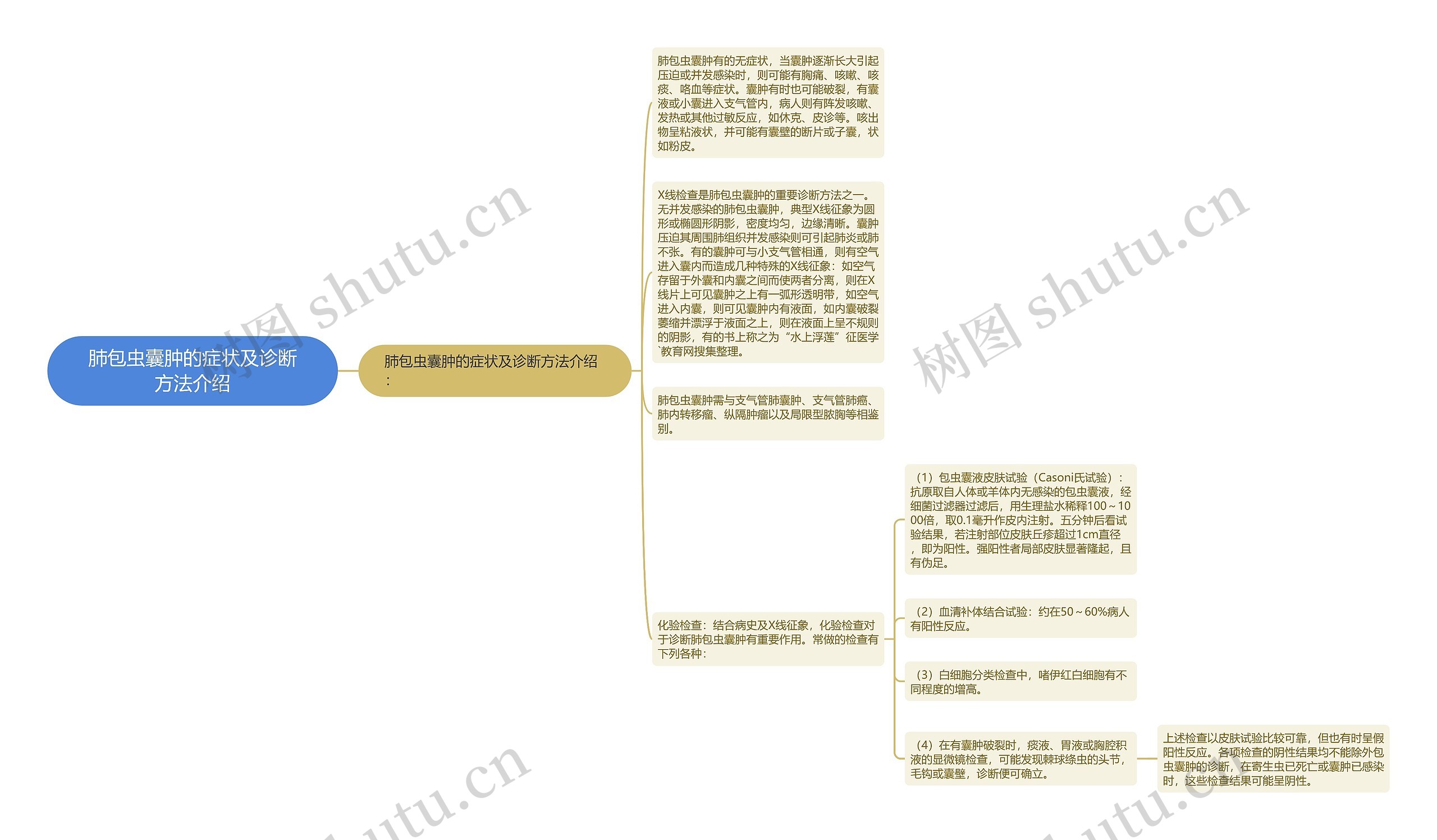 肺包虫囊肿的症状及诊断方法介绍思维导图