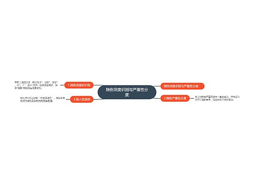 烧伤深度识别与严重性分度