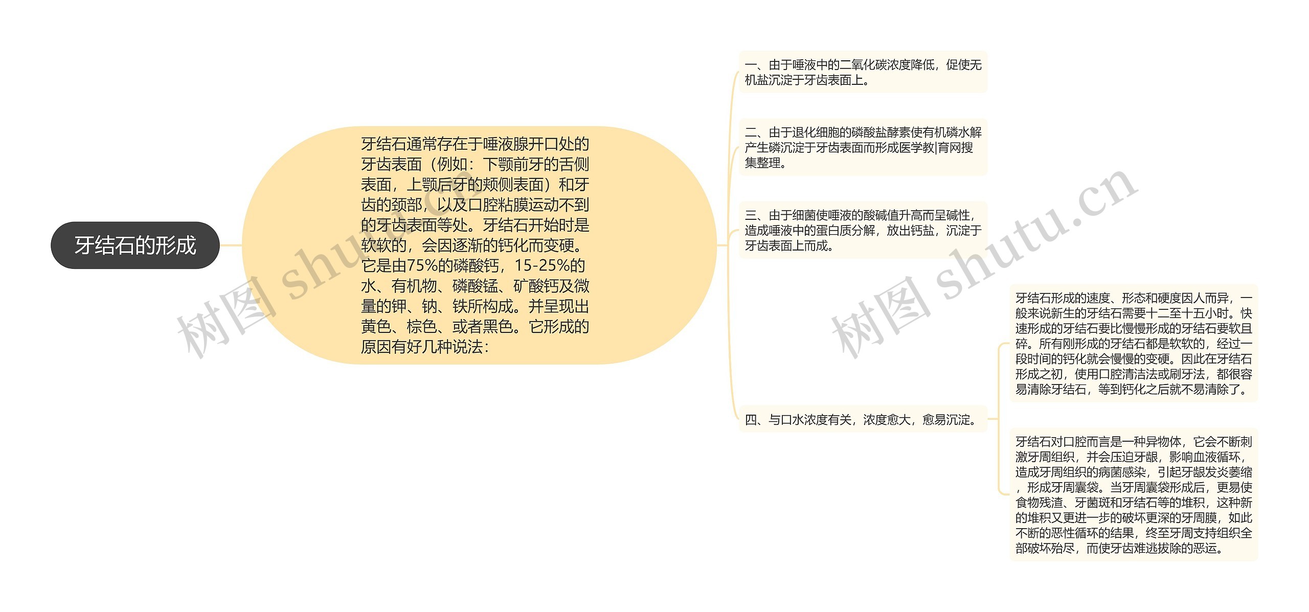 牙结石的形成 牙结石的形成