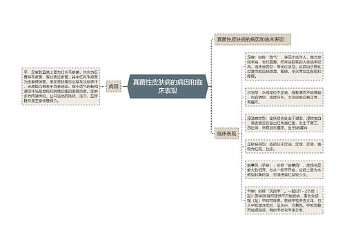 真菌性皮肤病的病因和临床表现