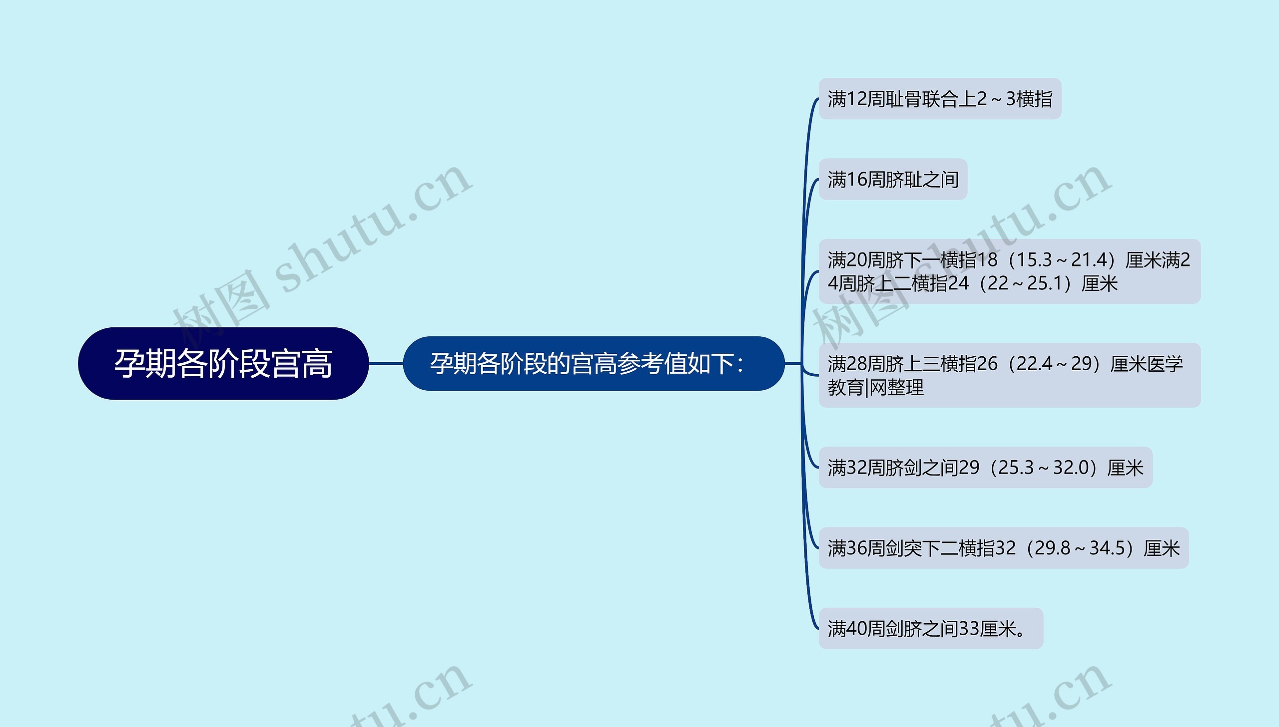 孕期各阶段宫高思维导图