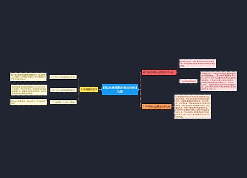 自然杀伤细胞的标志|受体|功能