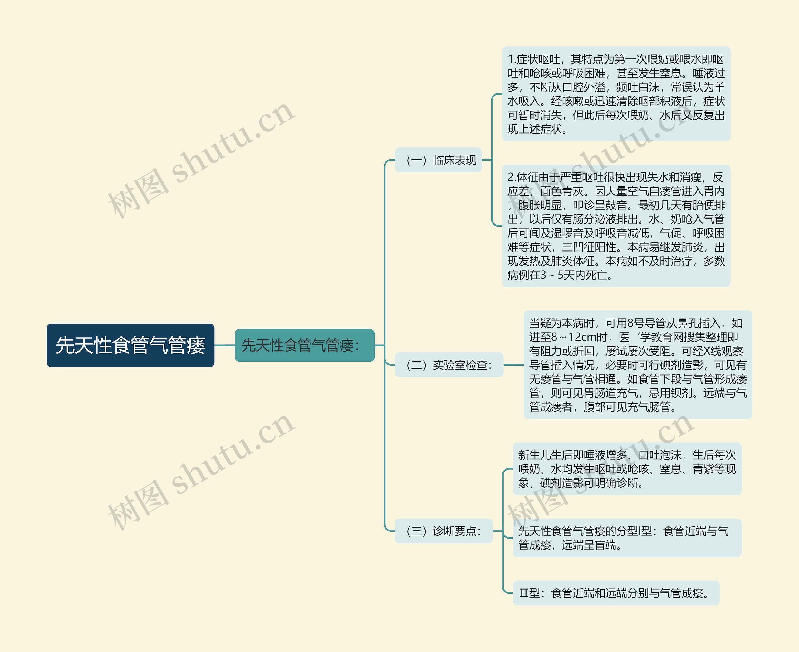 先天性食管气管瘘思维导图