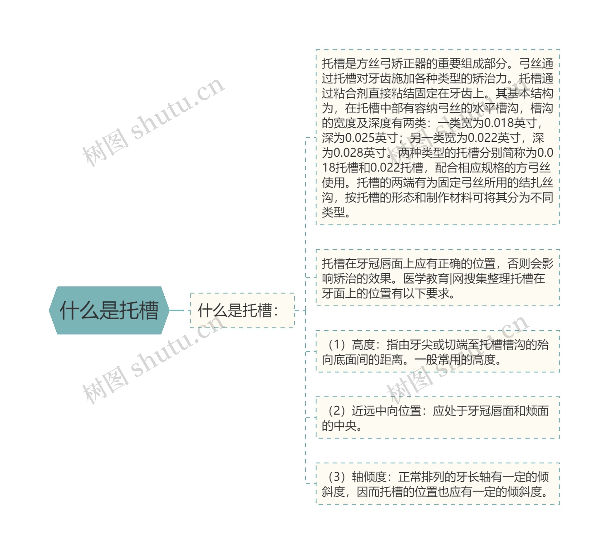 什么是托槽 什么是托槽