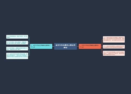 前牙外形有哪些主要应用解剖